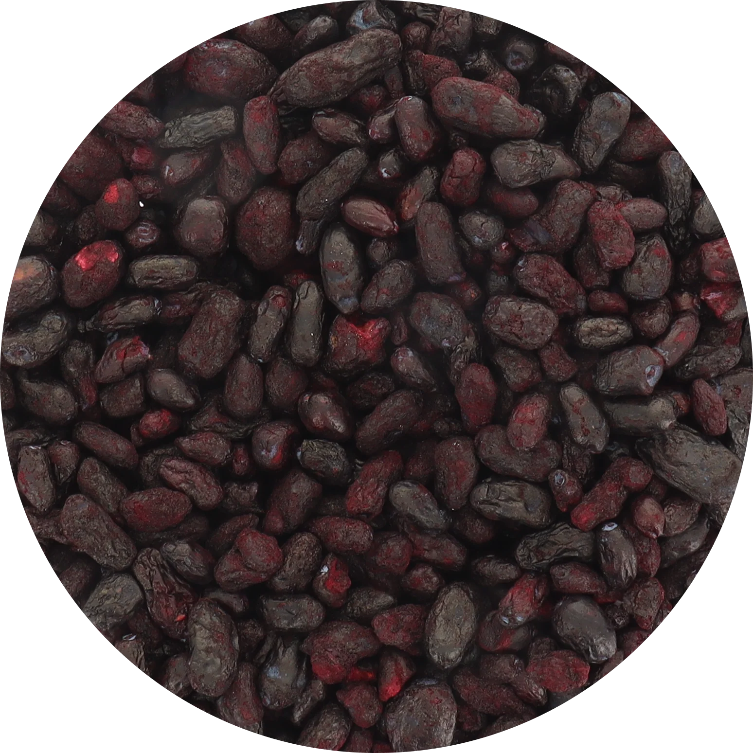 Freeze Dried Organic Honeyberry - Image 4