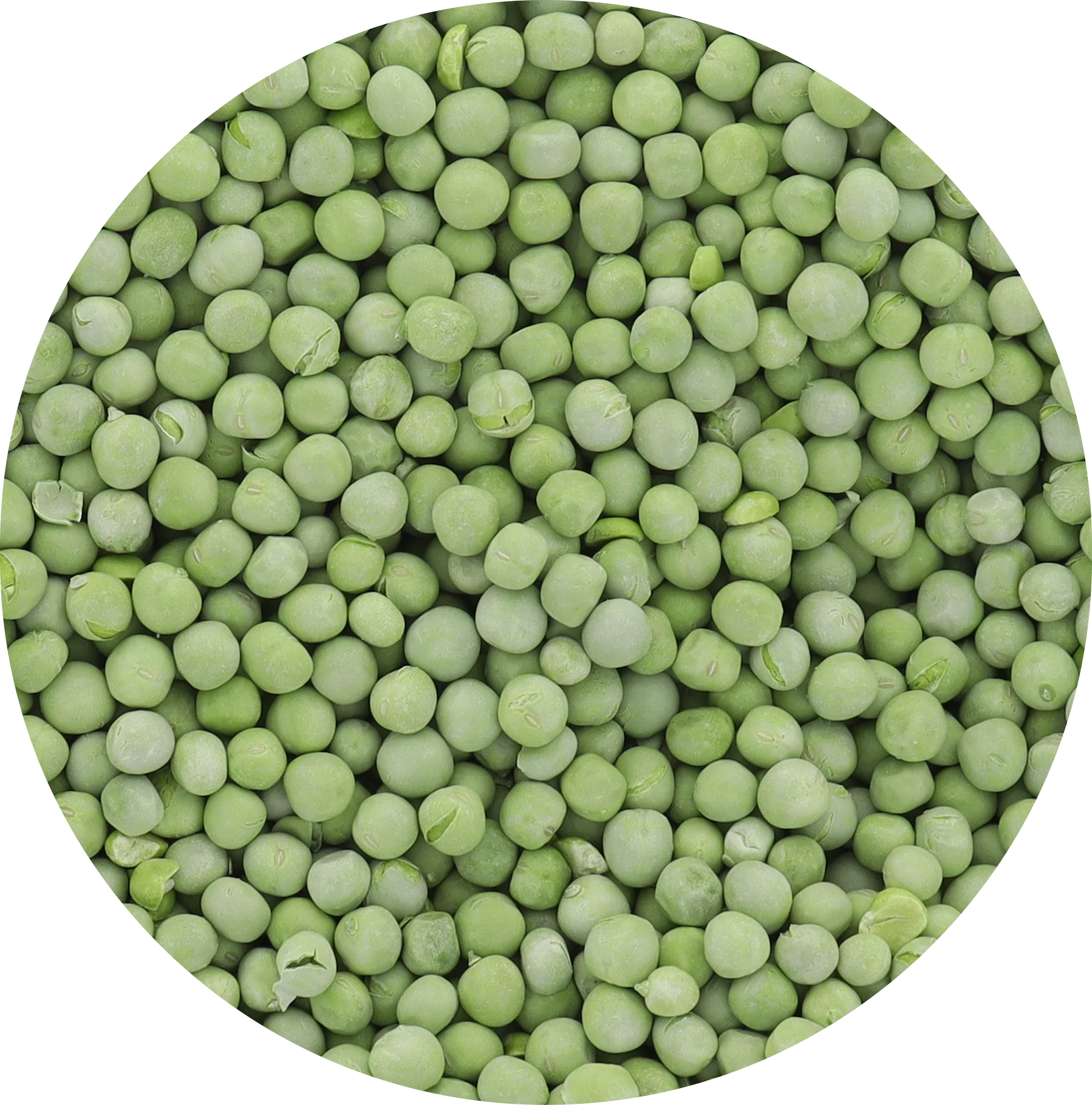Freeze Dried Peas - Image 7
