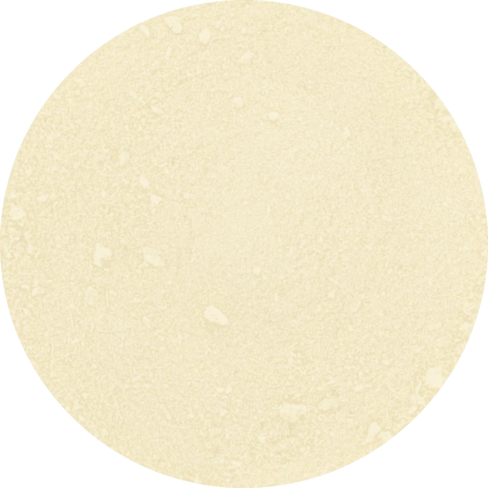 Freeze Dried Pineapple Powder - Image 2