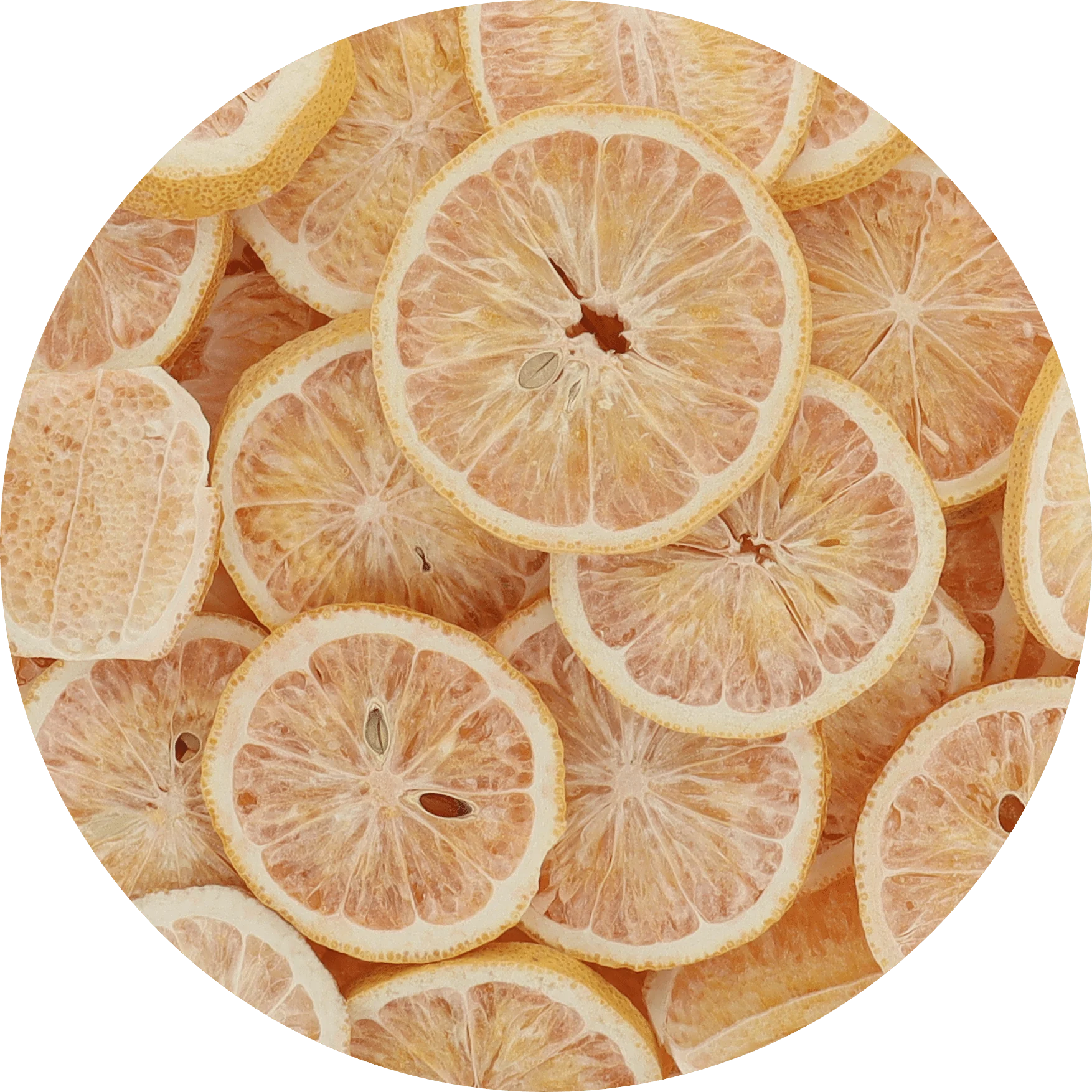 Freeze Dried Pink Lemon Slices - Image 6