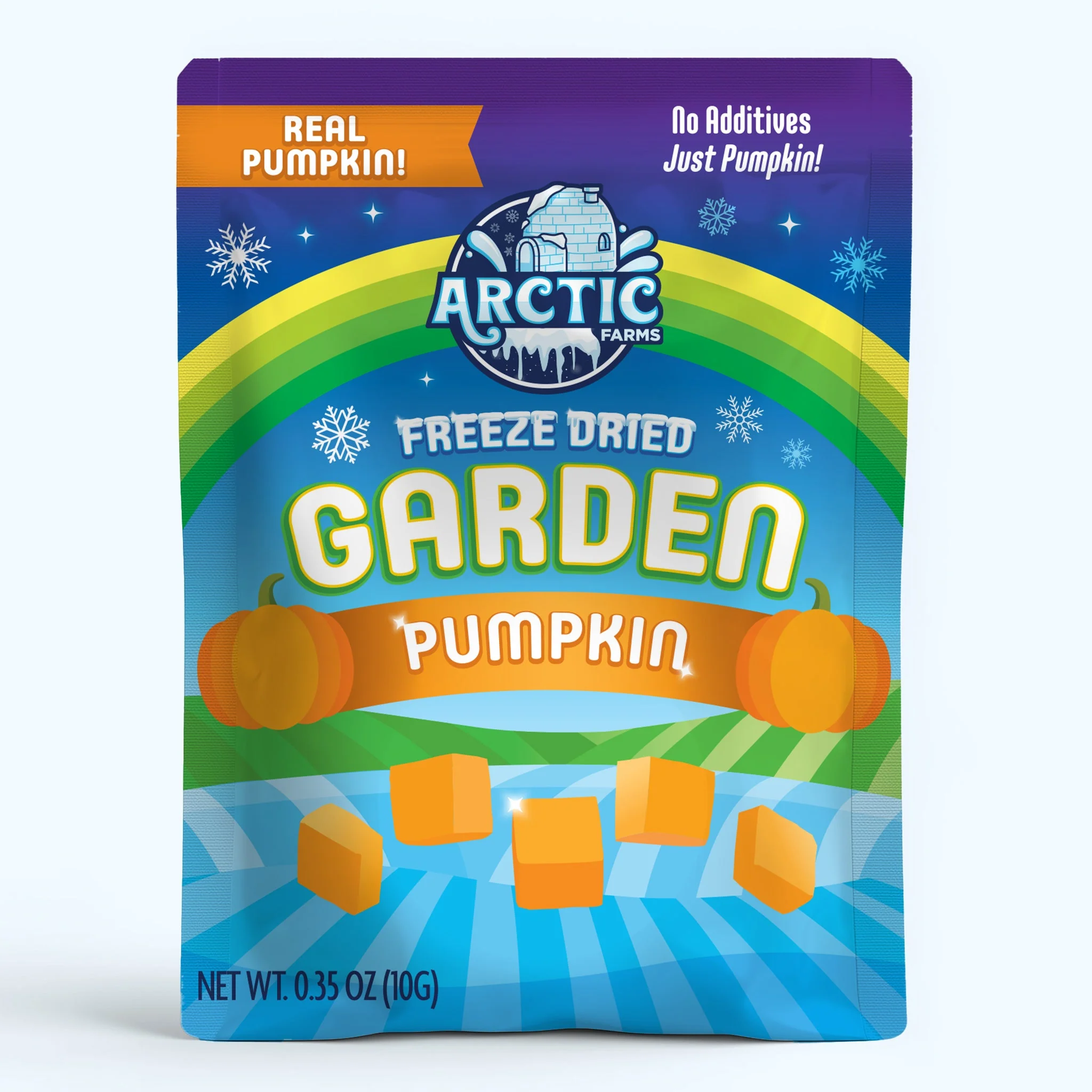 Freeze Dried Pumpkin - Image 2