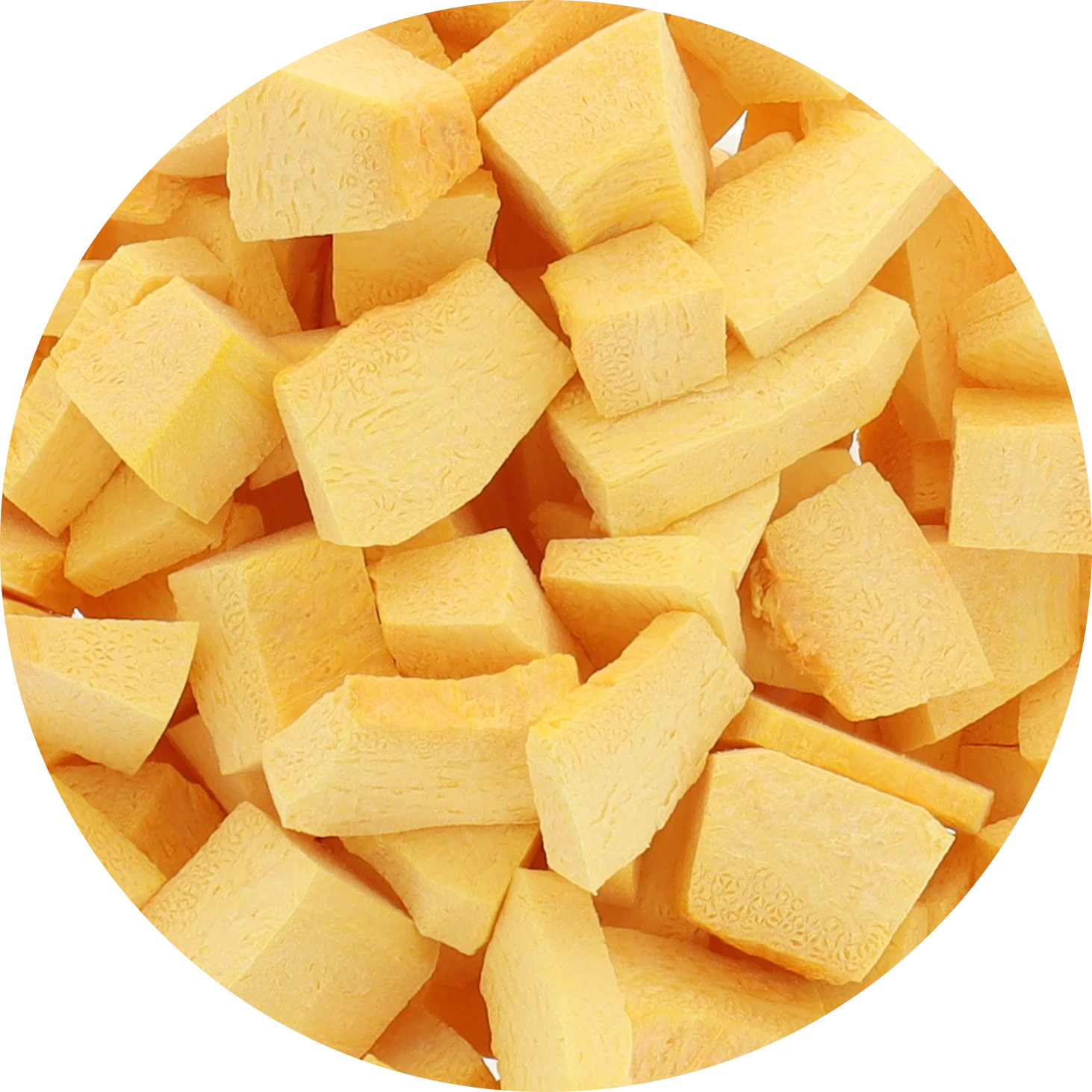 Freeze Dried Pumpkin - Image 6
