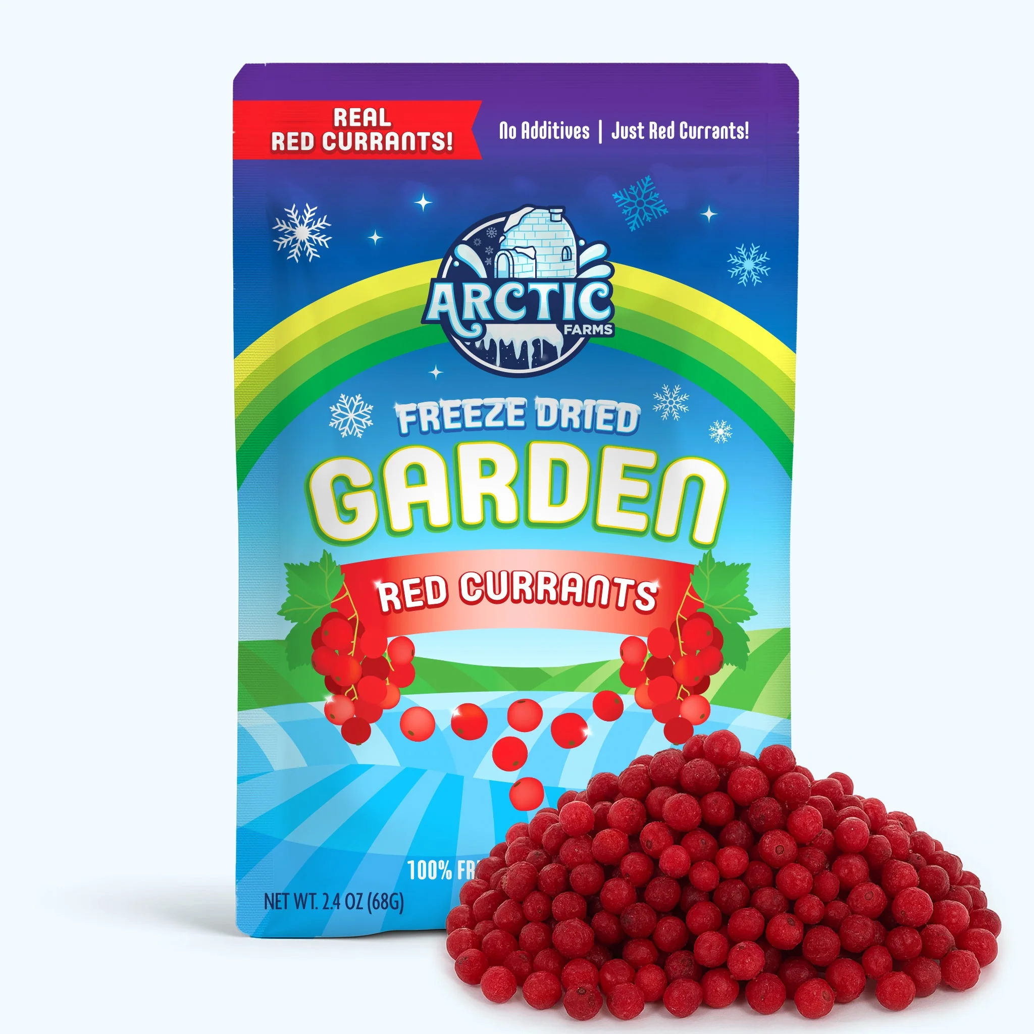 Freeze Dried Red Currant - Image 2