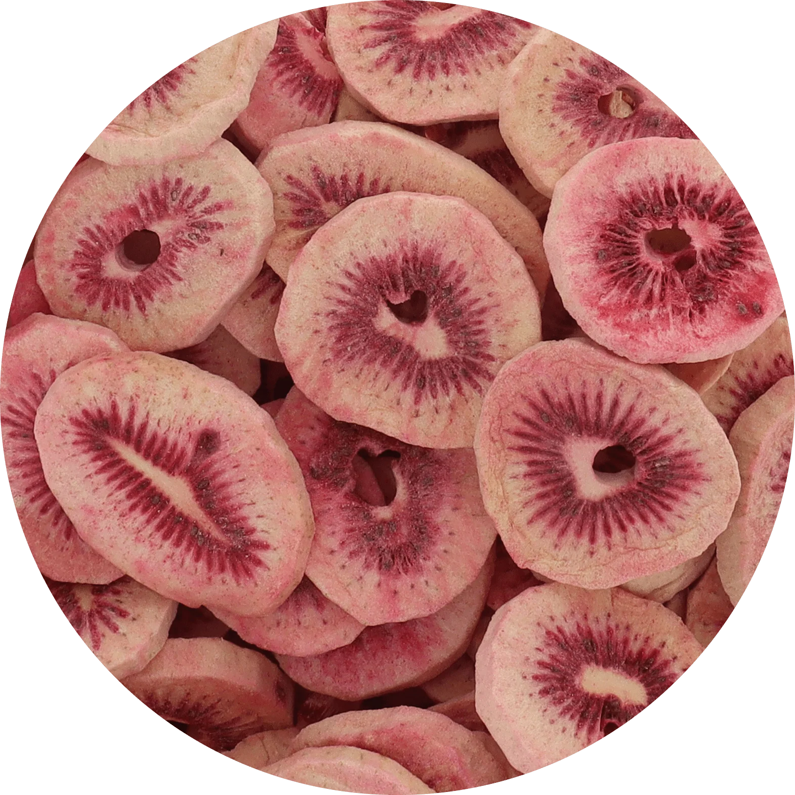Freeze Dried Red Kiwi
