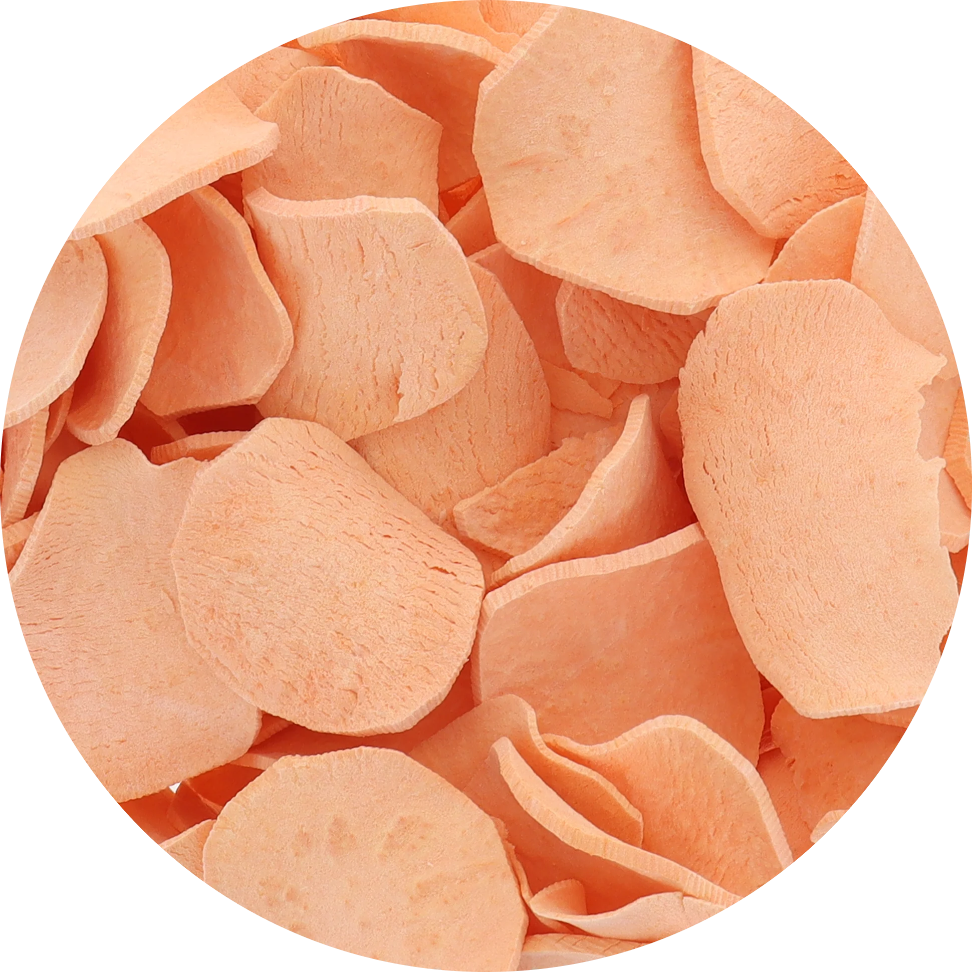 Freeze Dried Sweet Potato Chips - Image 4
