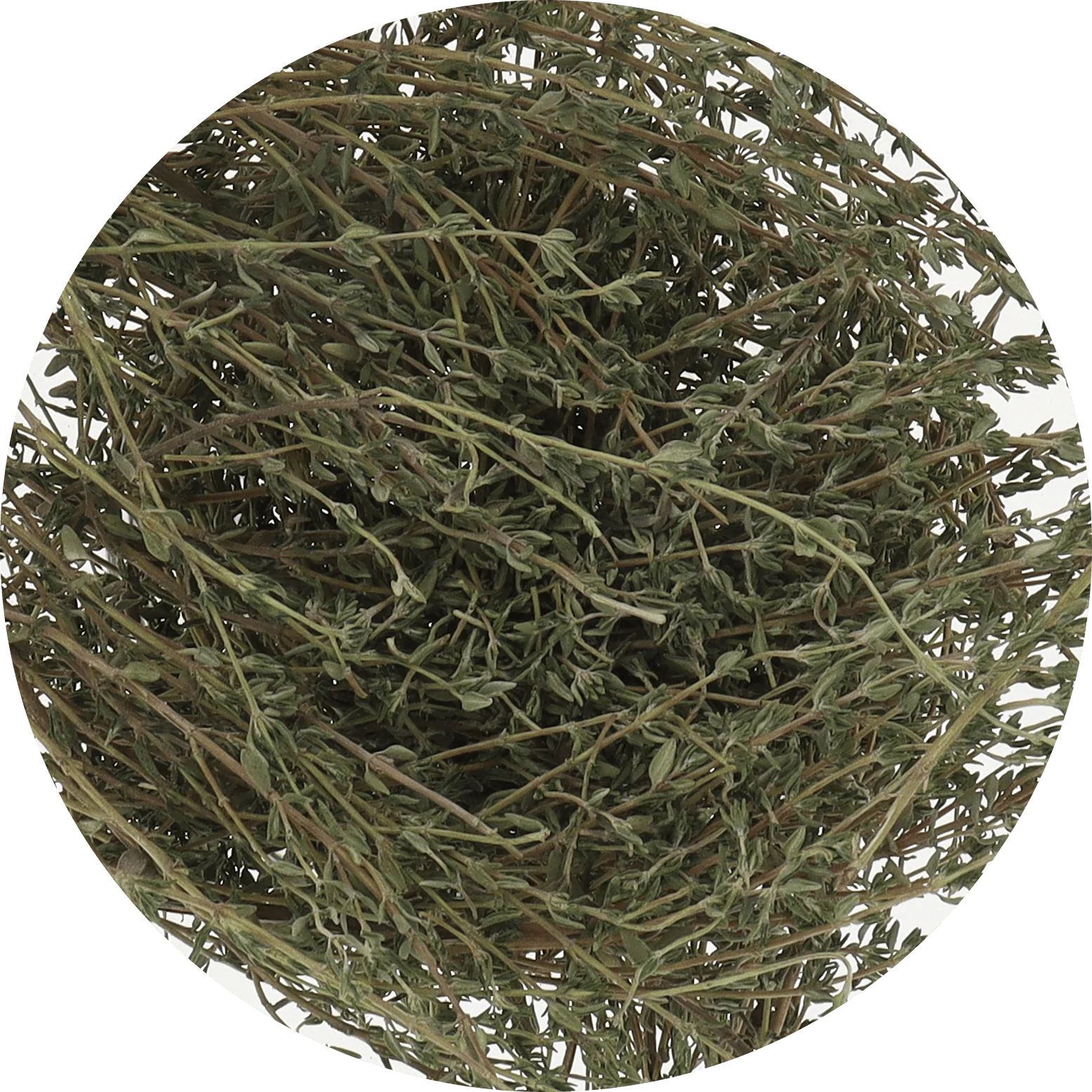 Freeze Dried Thyme