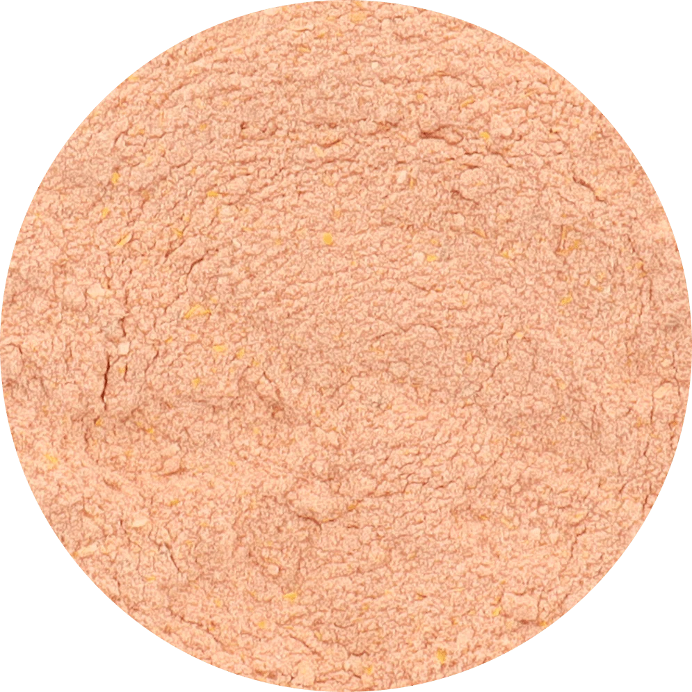 Freeze Dried Tomato Powder - Image 2