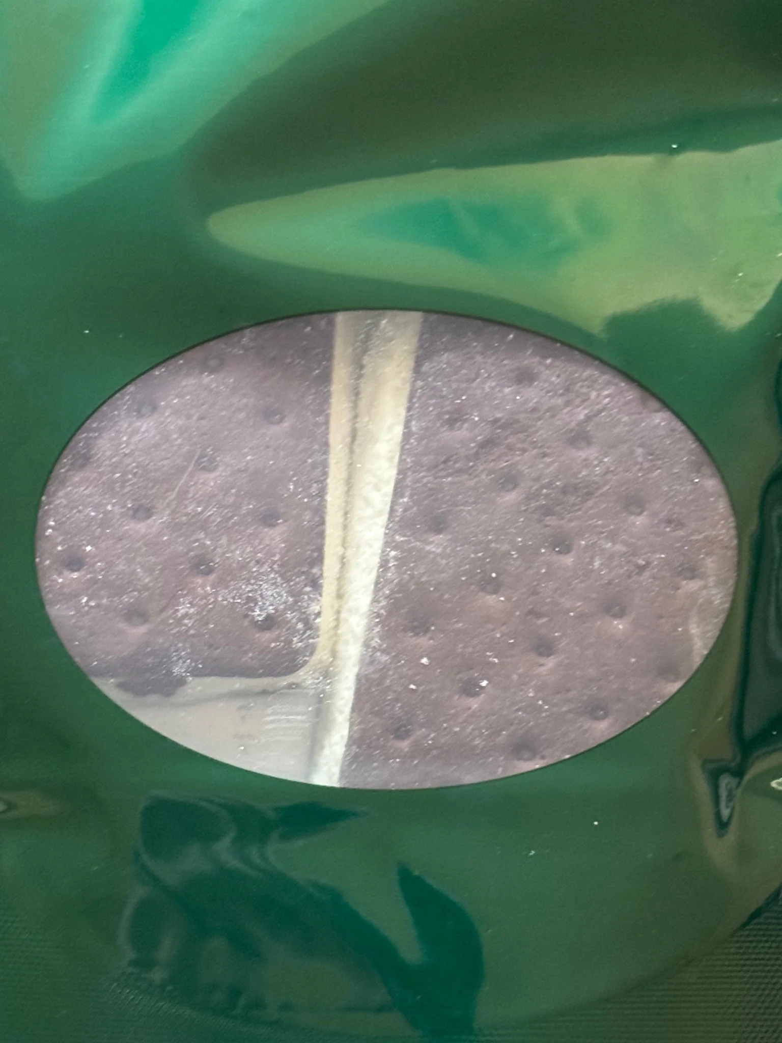 Freeze Dried Vegan Ice Cream Sandwich - Image 3