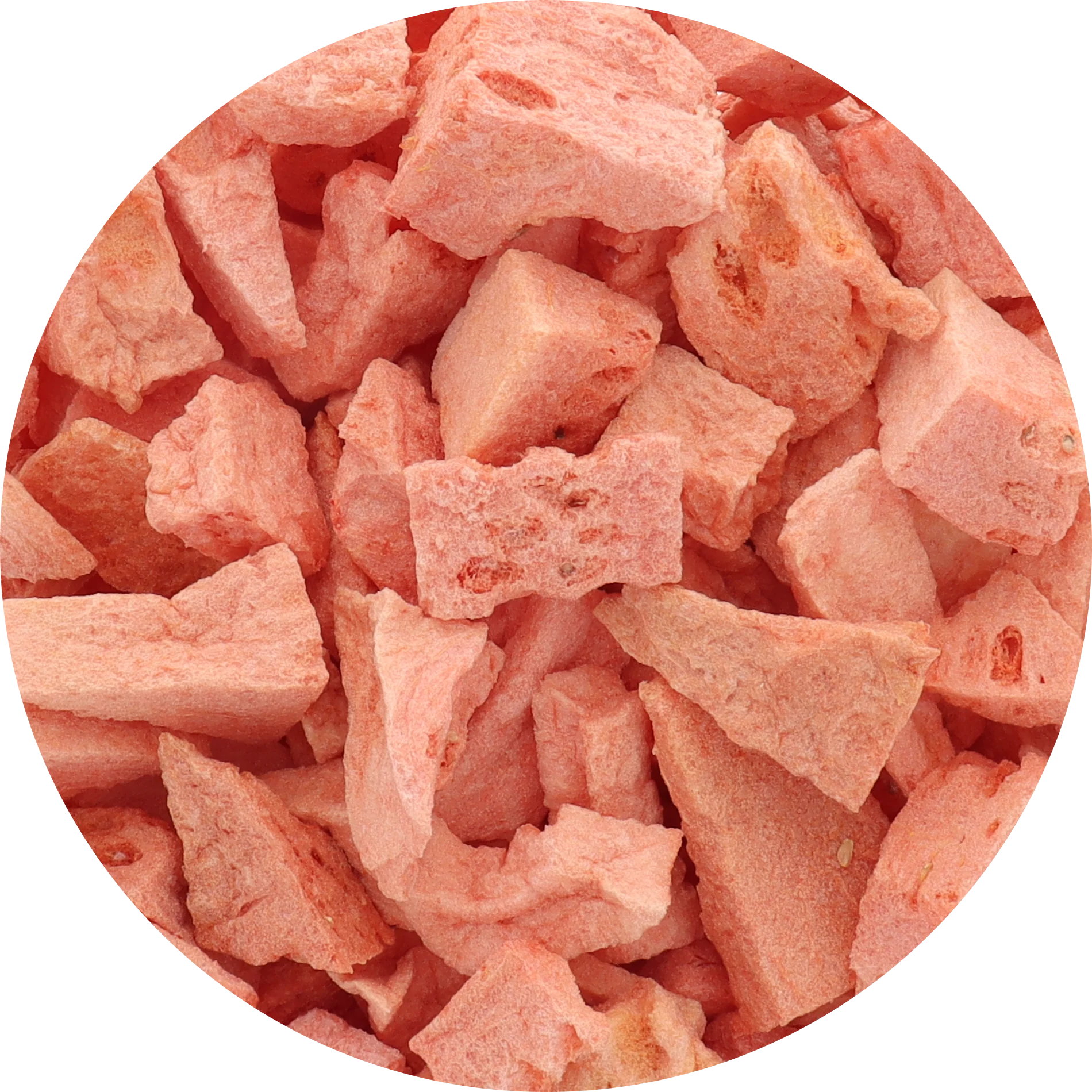 Freeze Dried Watermelon - Image 6