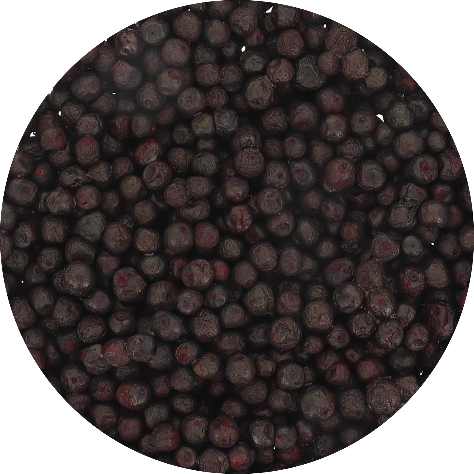 Freeze Dried Wild Bilberries - Image 5