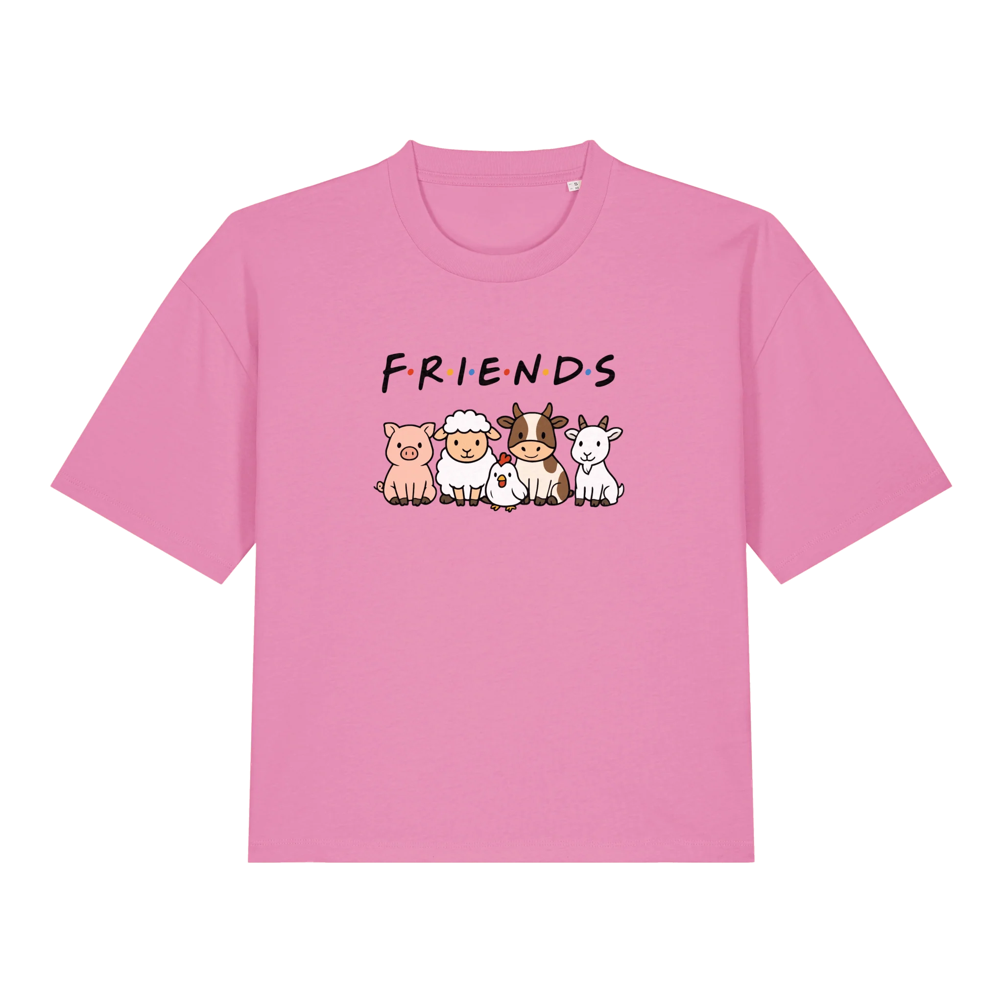 Friends Women's Boxy T-Shirt - Image 5