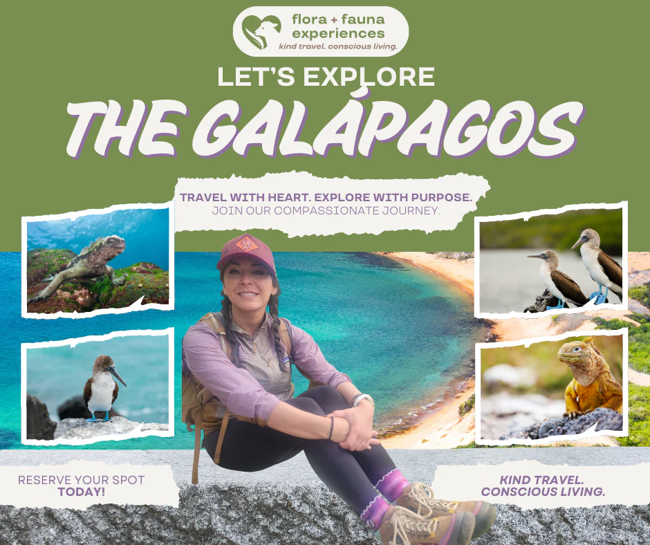 Galapagos with Flora + Fauna Experiences (Dec. 3-11)