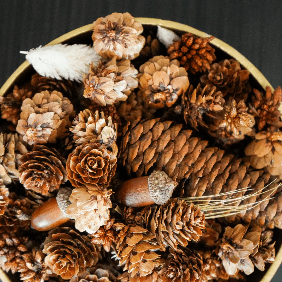 Holiday Clove 100% Natural Potpourri Pure Essential Oils - Image 3