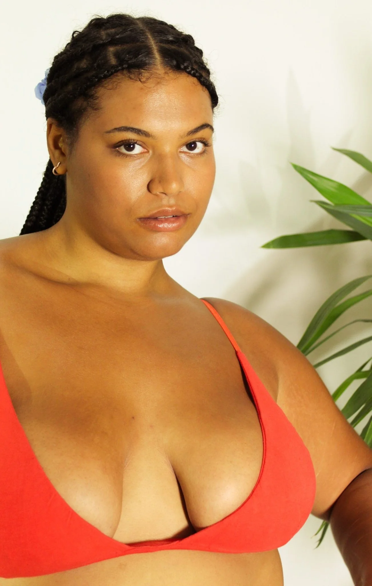 Lavanya Bralette - Sappan Bark - Image 5
