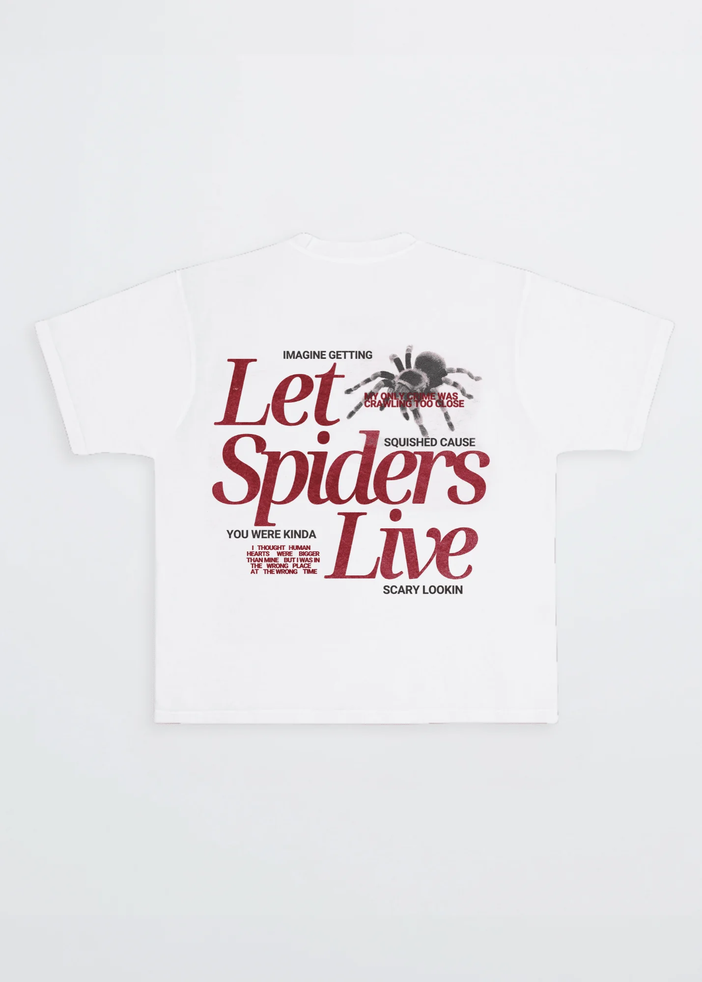 LET SPIDERS LIVE - Image 3