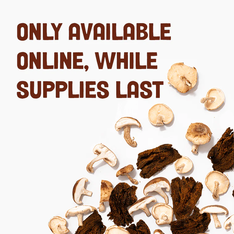 *Limited Edition* Sichuan Málà Mushroom Jerky - Image 2