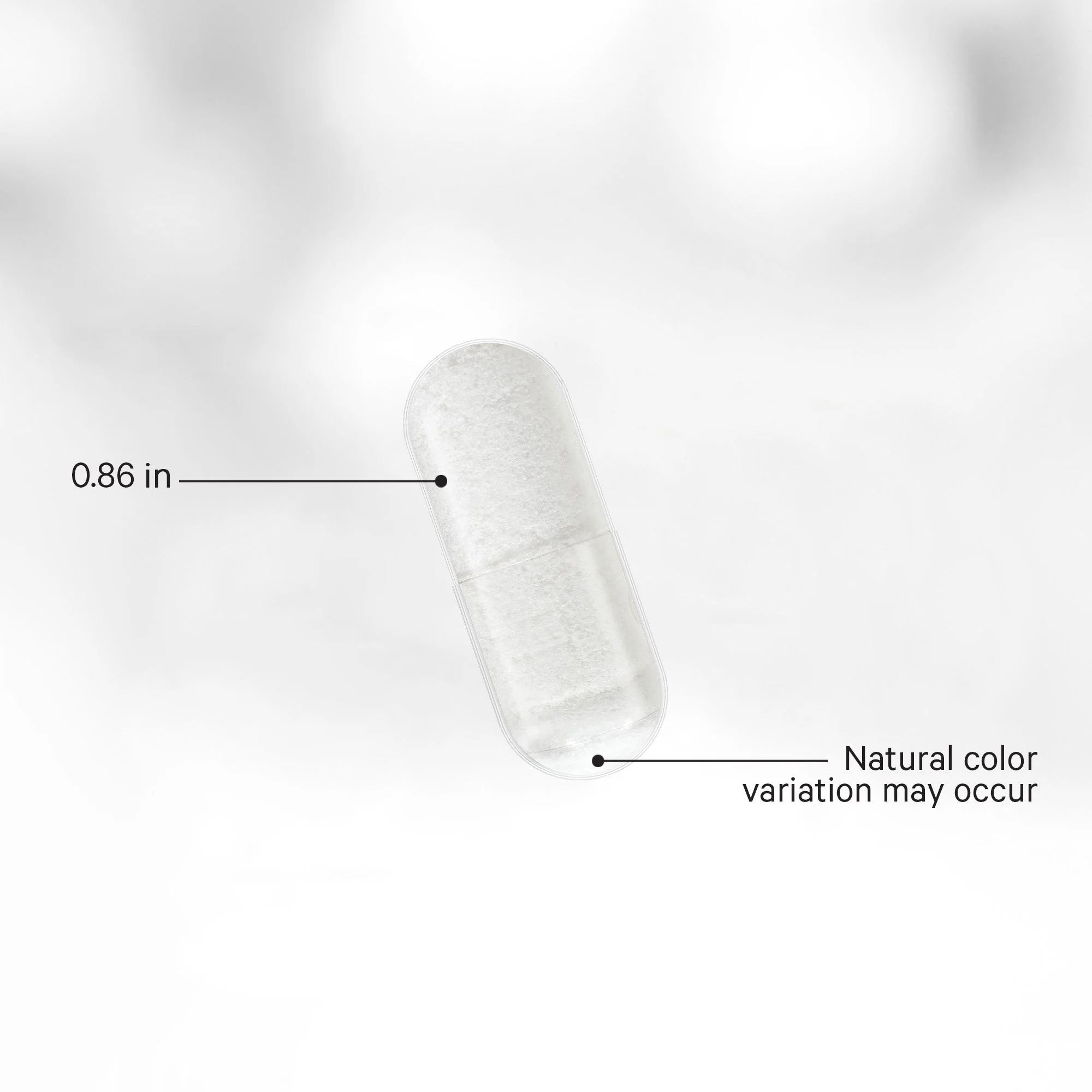 Liposomal L-Carnitine+ - Image 2