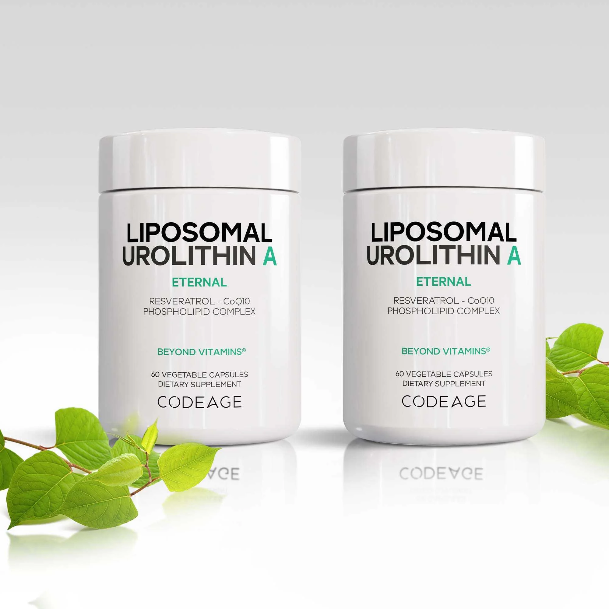 Liposomal Urolithin A - Image 3