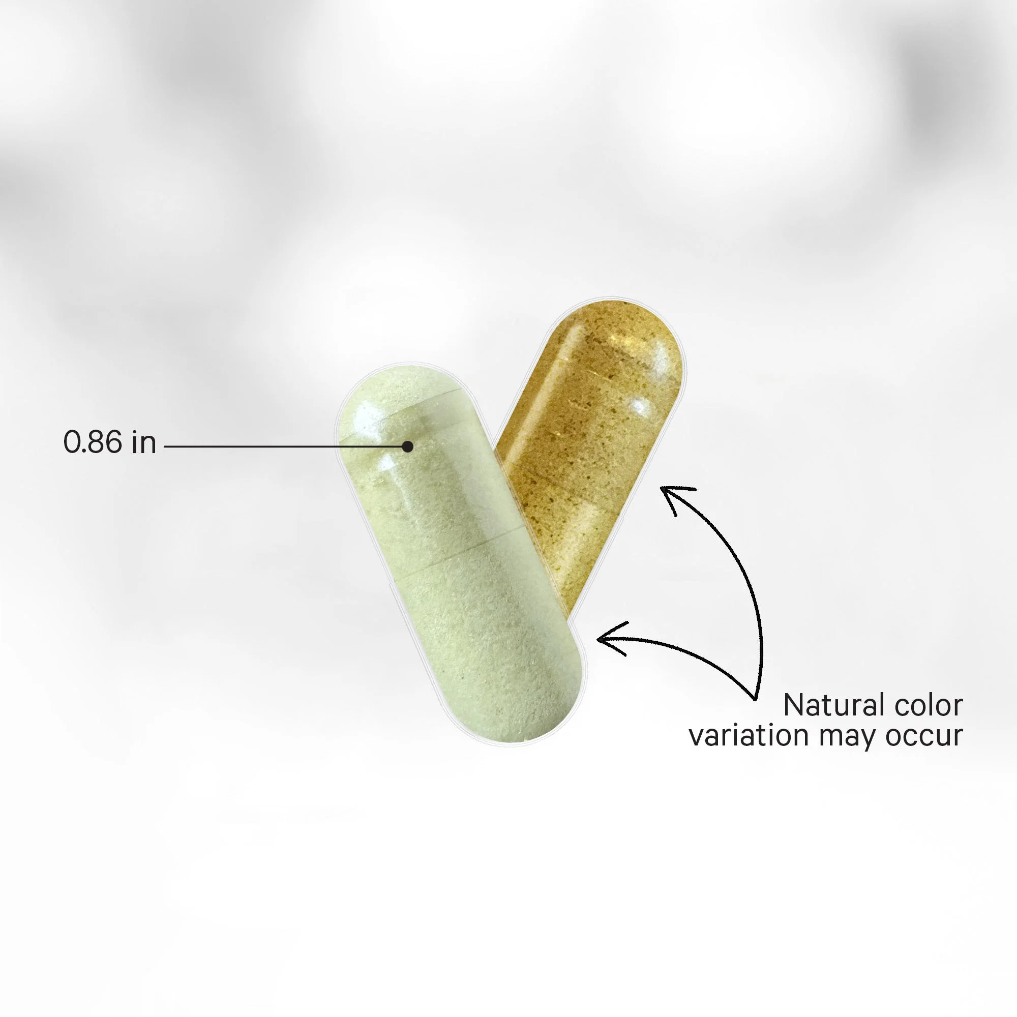 Liposomal Vitamin C+ Large - Image 5