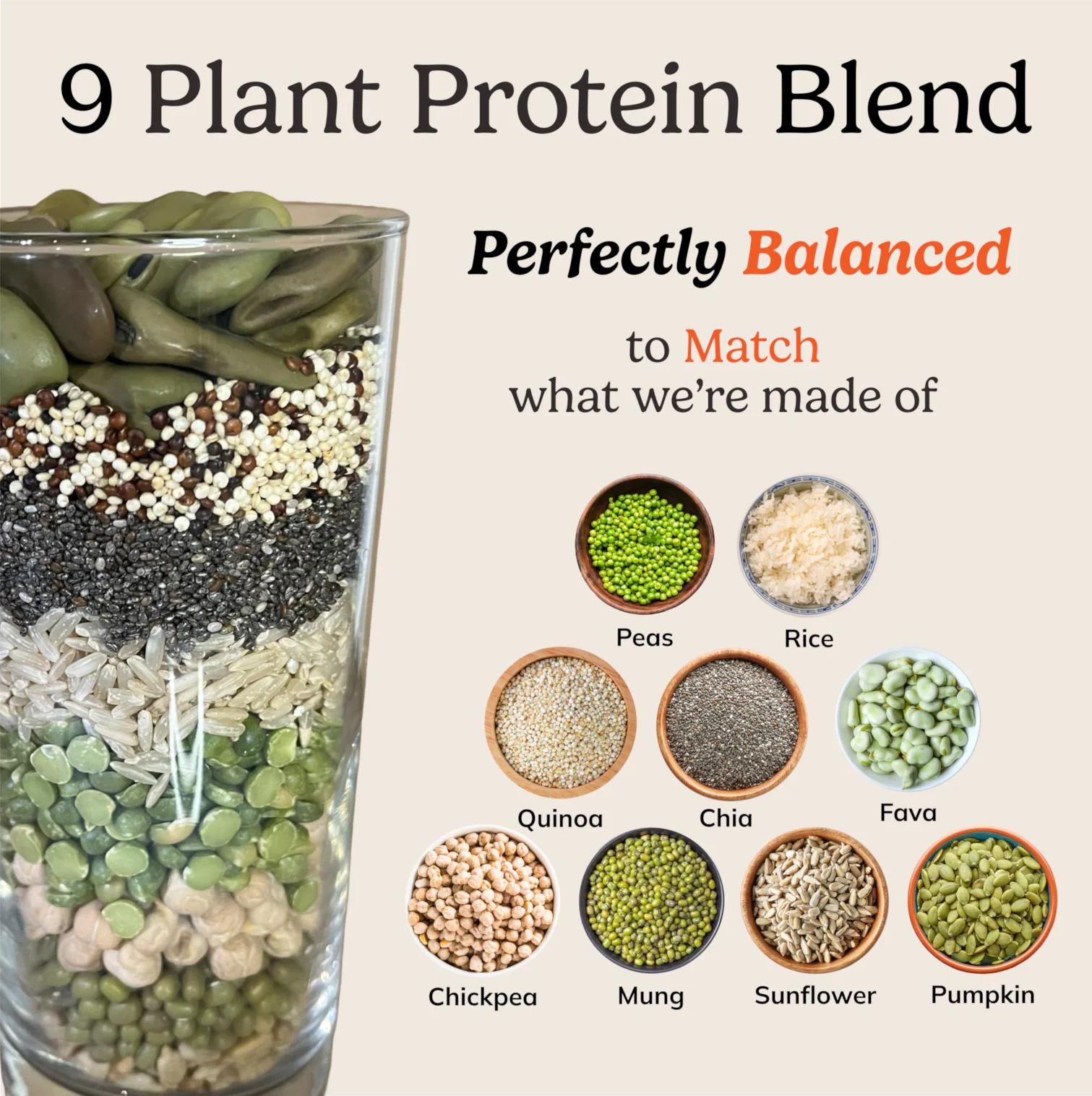 NutriMatch Vanilla Plant Protein Powder - Image 3