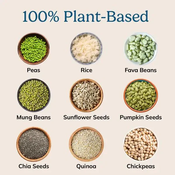Starter Kit – Plant Protein Powder (10 Servings + Shaker Bottle) | Powered by NutriMatch™ - Image 9