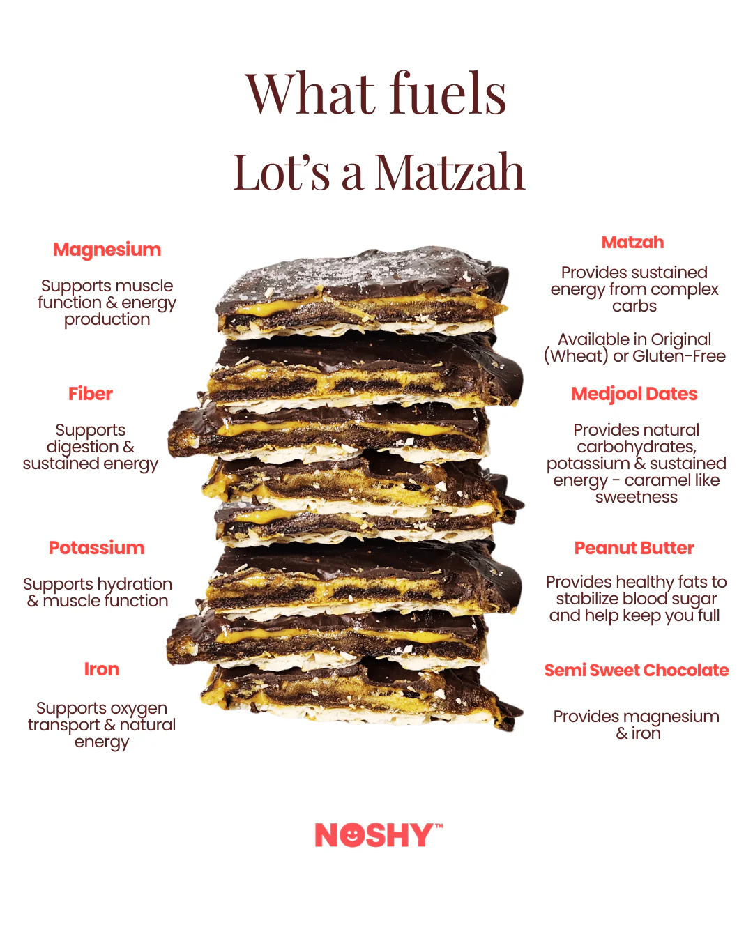 Lot's a Matzah (Gluten-Free) - Image 2