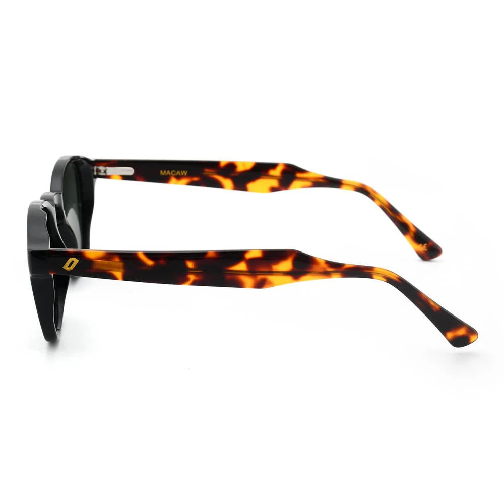 Macaw - Bio Acetate Sunglasses - Image 4