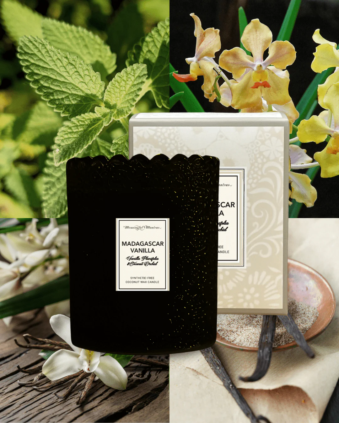 Madagascar Vanilla Natural Candle 8oz Kaia Collection - Image 3