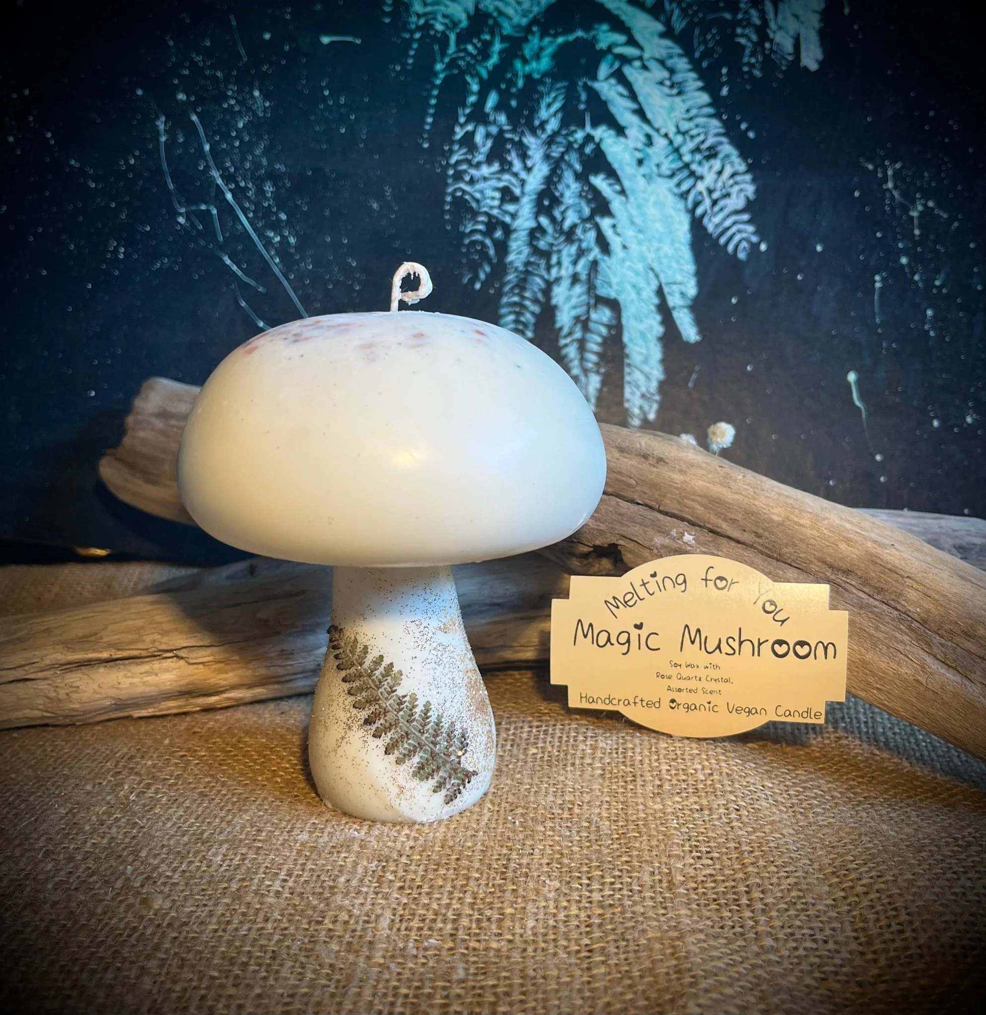 Magic Mushroom Organic Candle