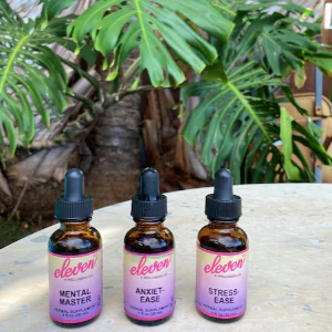 Mental Master Tincture "Brain Upgrade" | 1 oz - Image 5