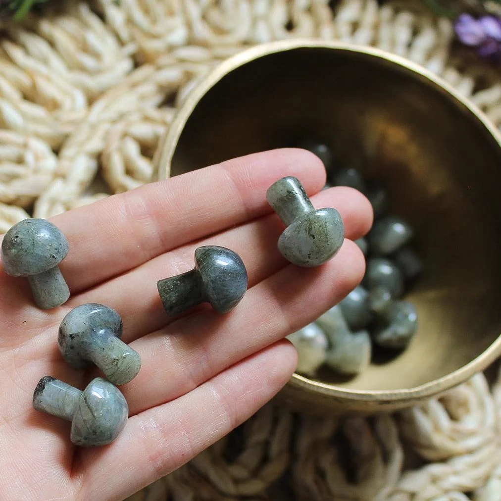 Mini Crystal Mushrooms - Image 15