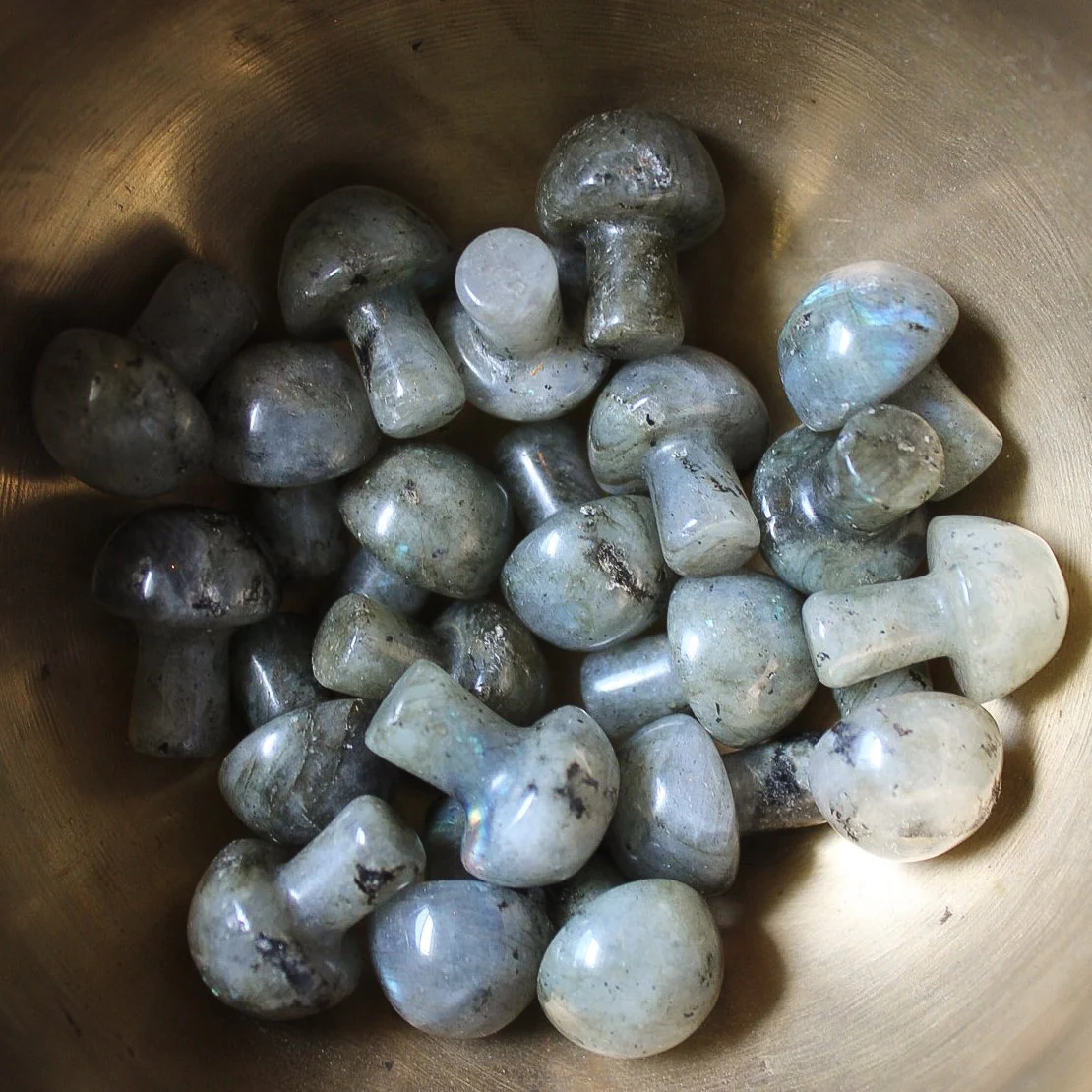 Mini Crystal Mushrooms - Image 16