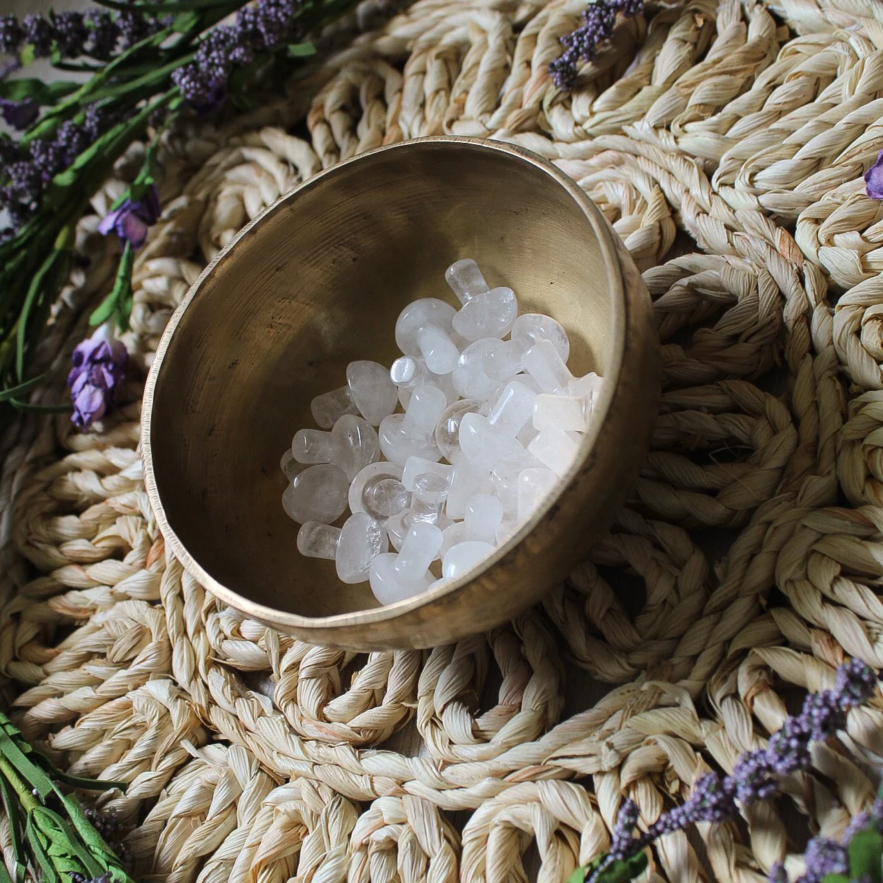 Mini Crystal Mushrooms - Image 21