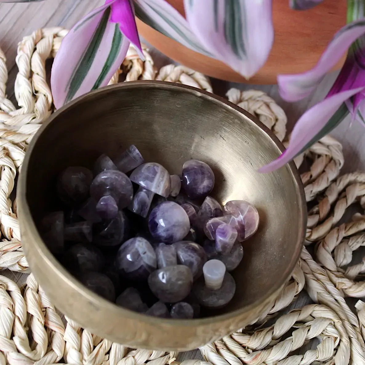 Mini Crystal Mushrooms - Image 5