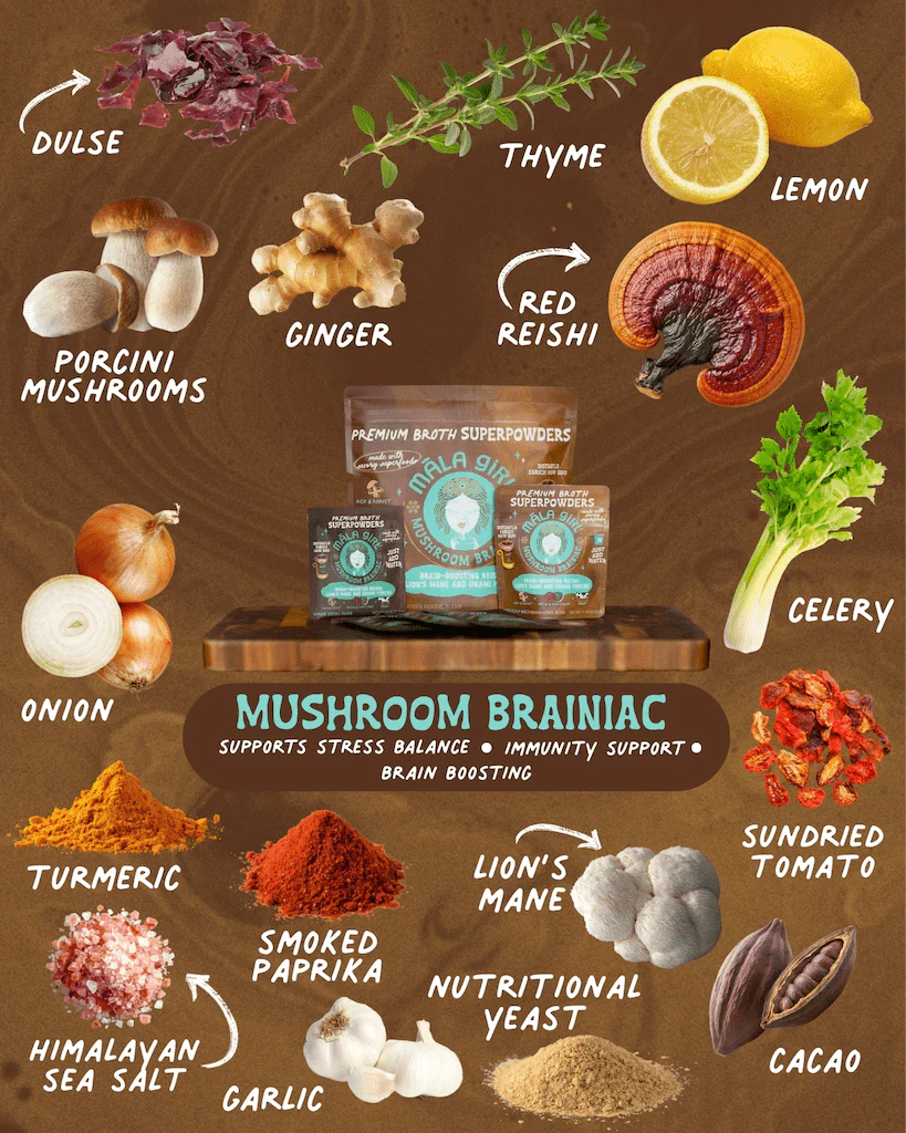 Mushroom Brainiac Superfood Broth Powder - Image 3