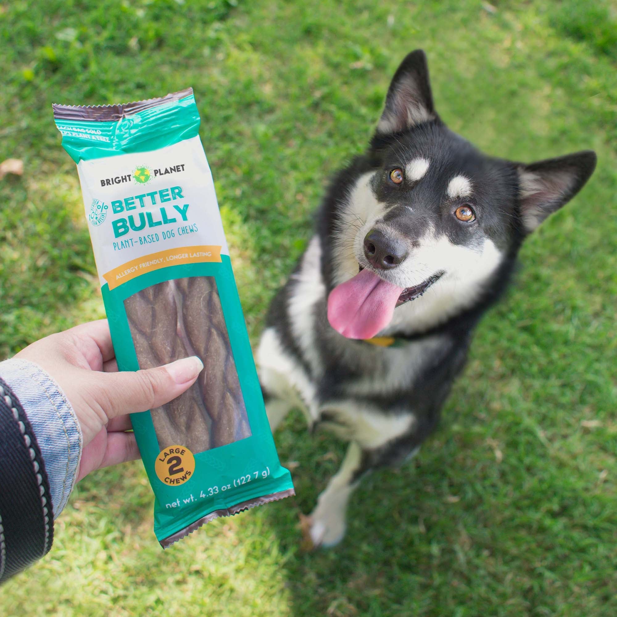 NEW Better Bully Chews 2ct Large - Image 5