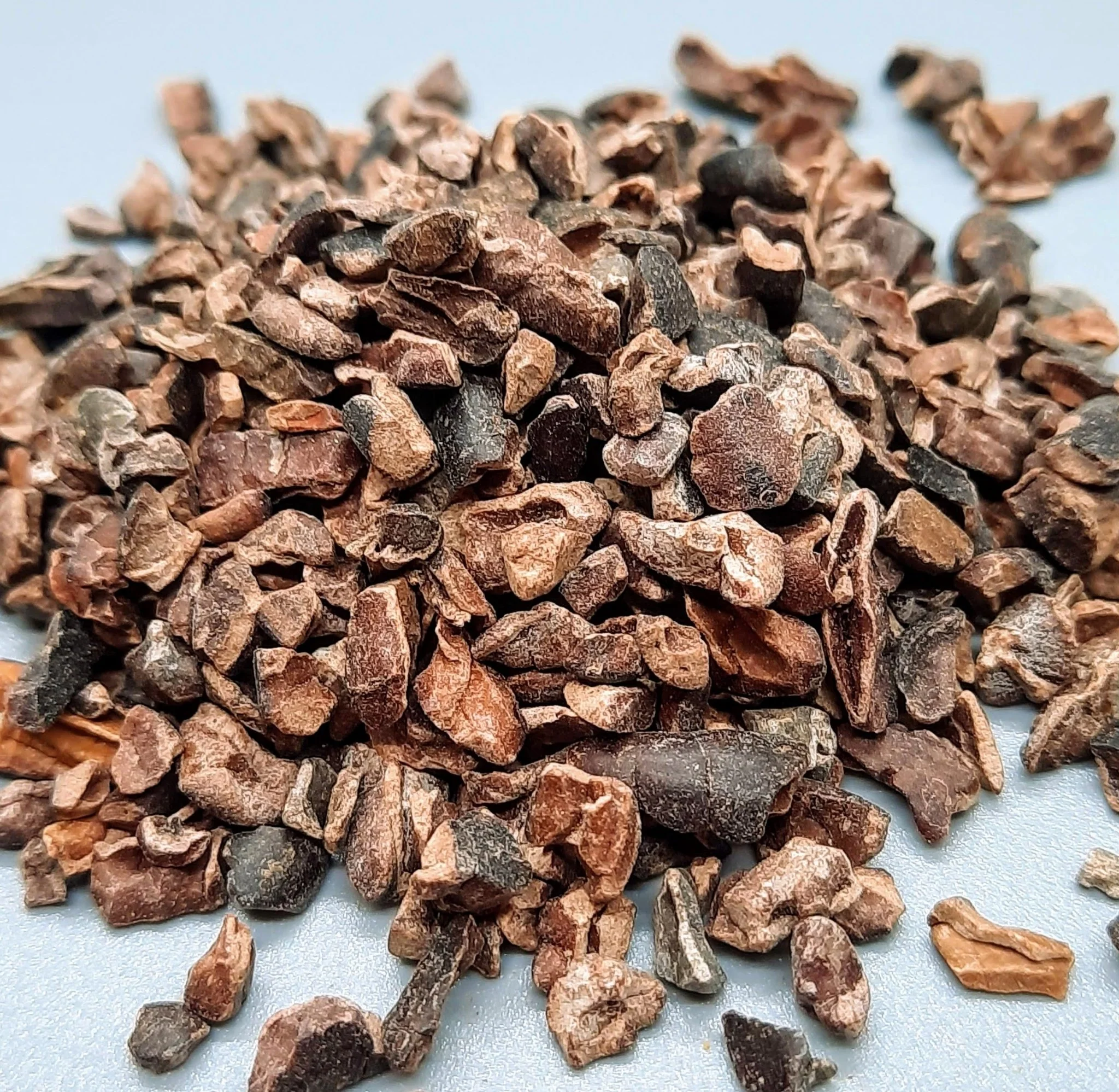NEW Dark Chocolate Alegria Bites w/ Blueberries + Cacao Nibs - Image 20