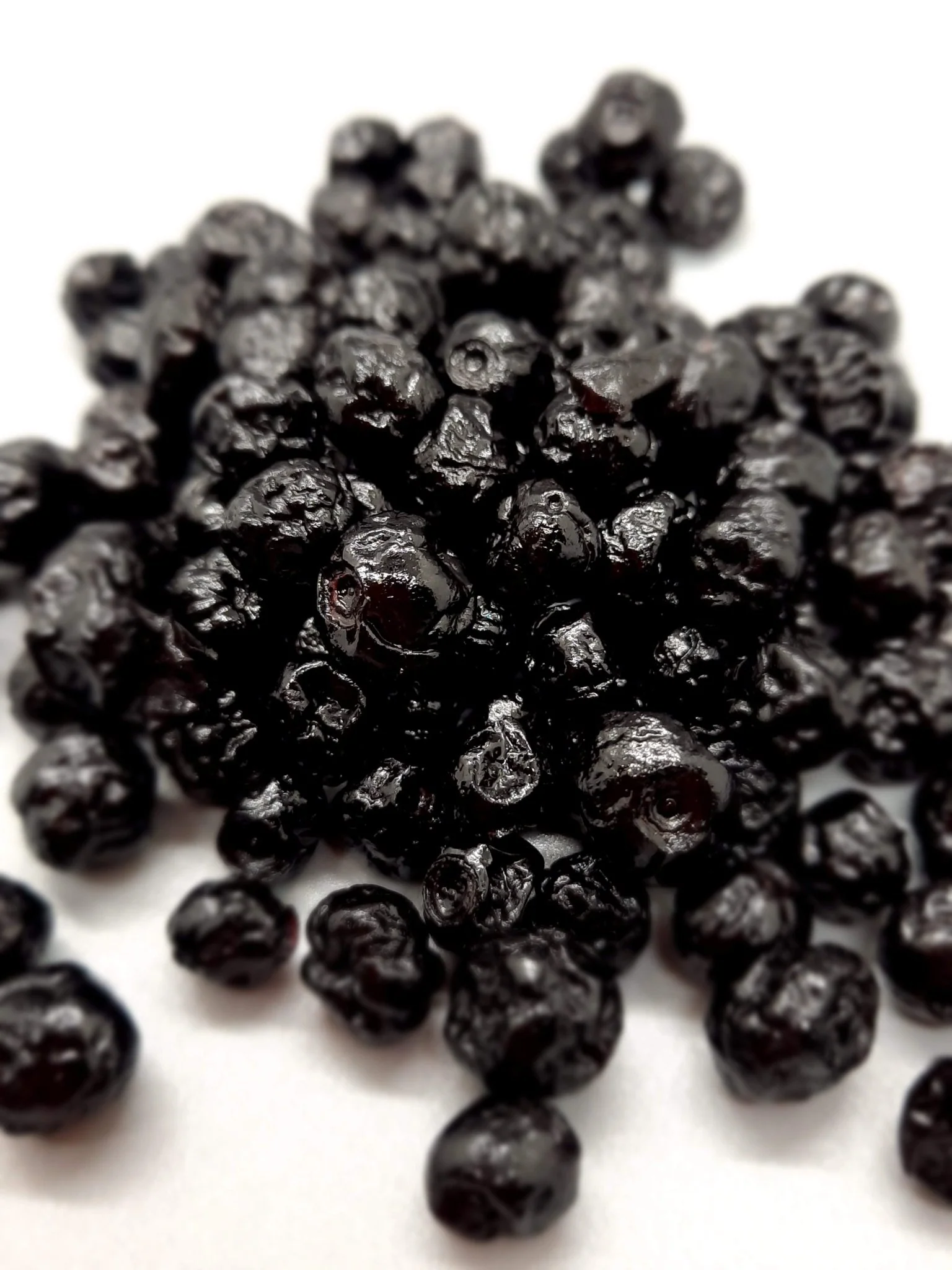 NEW Dark Chocolate Alegria Bites w/ Blueberries + Cacao Nibs - Image 21