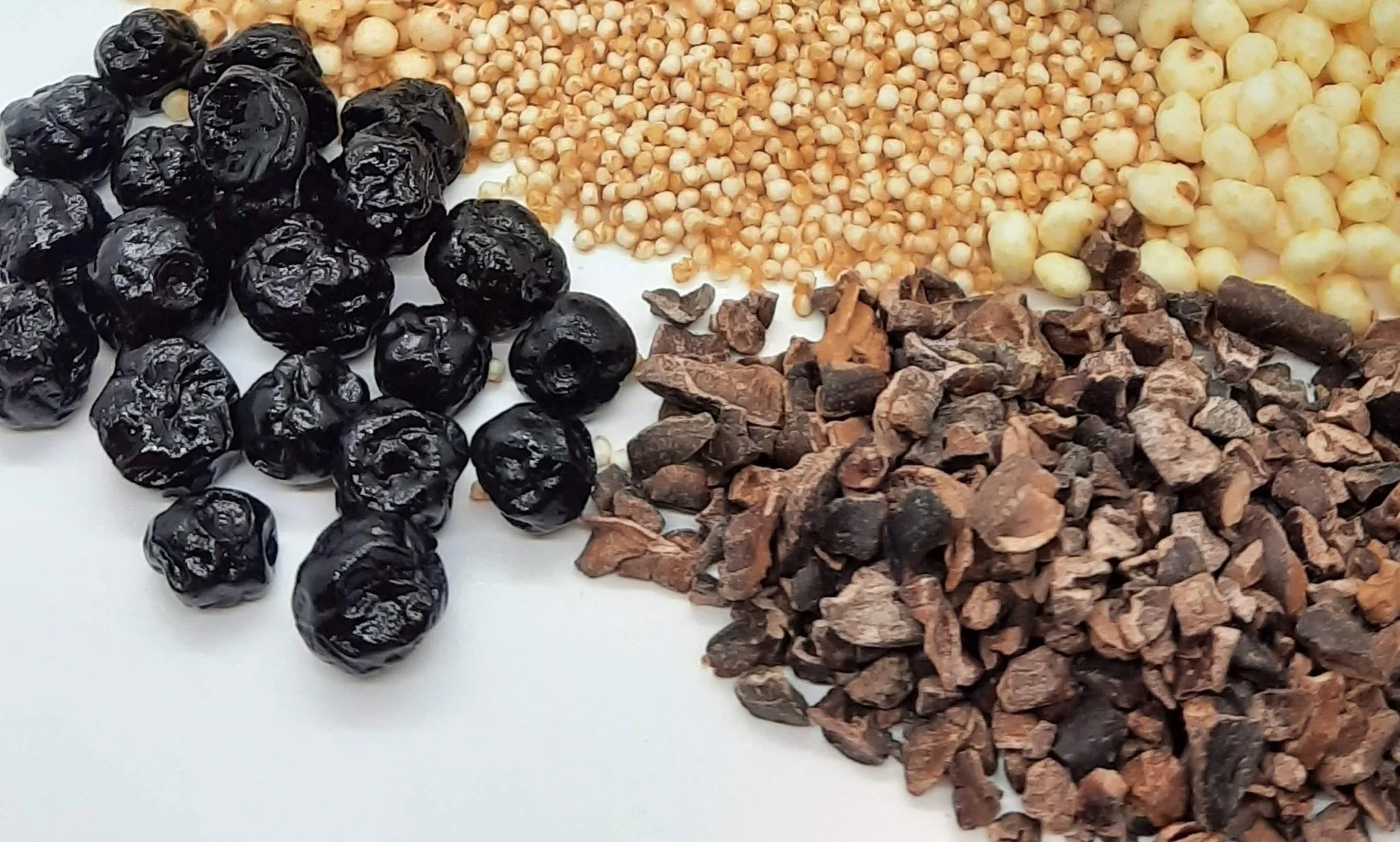 NEW Dark Chocolate Alegria Bites w/ Blueberries + Cacao Nibs - Image 4
