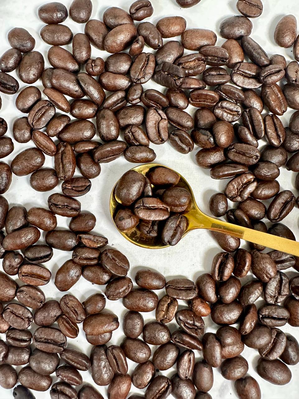 Organic Antioxidant Coffee Breakfast Blend | Whole Bean | 12oz - Image 3