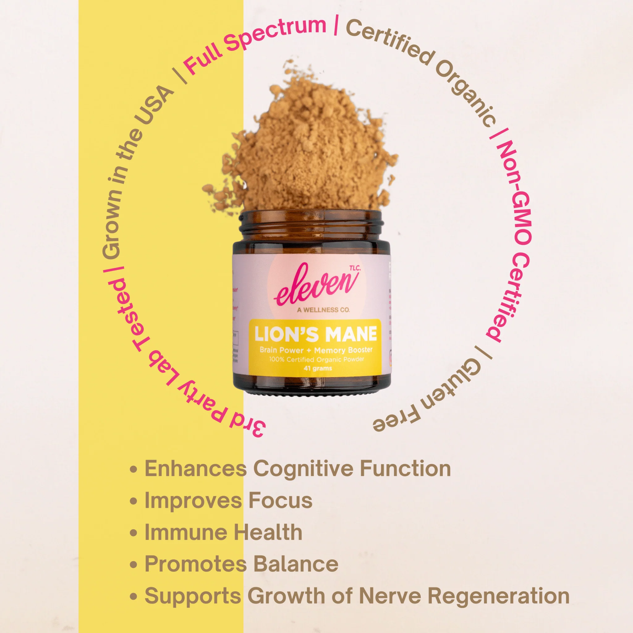 Organic Mushroom Powder Bundle | Chaga, Reishi, Cordyceps, & Lion's Mane Superfoods - Image 3