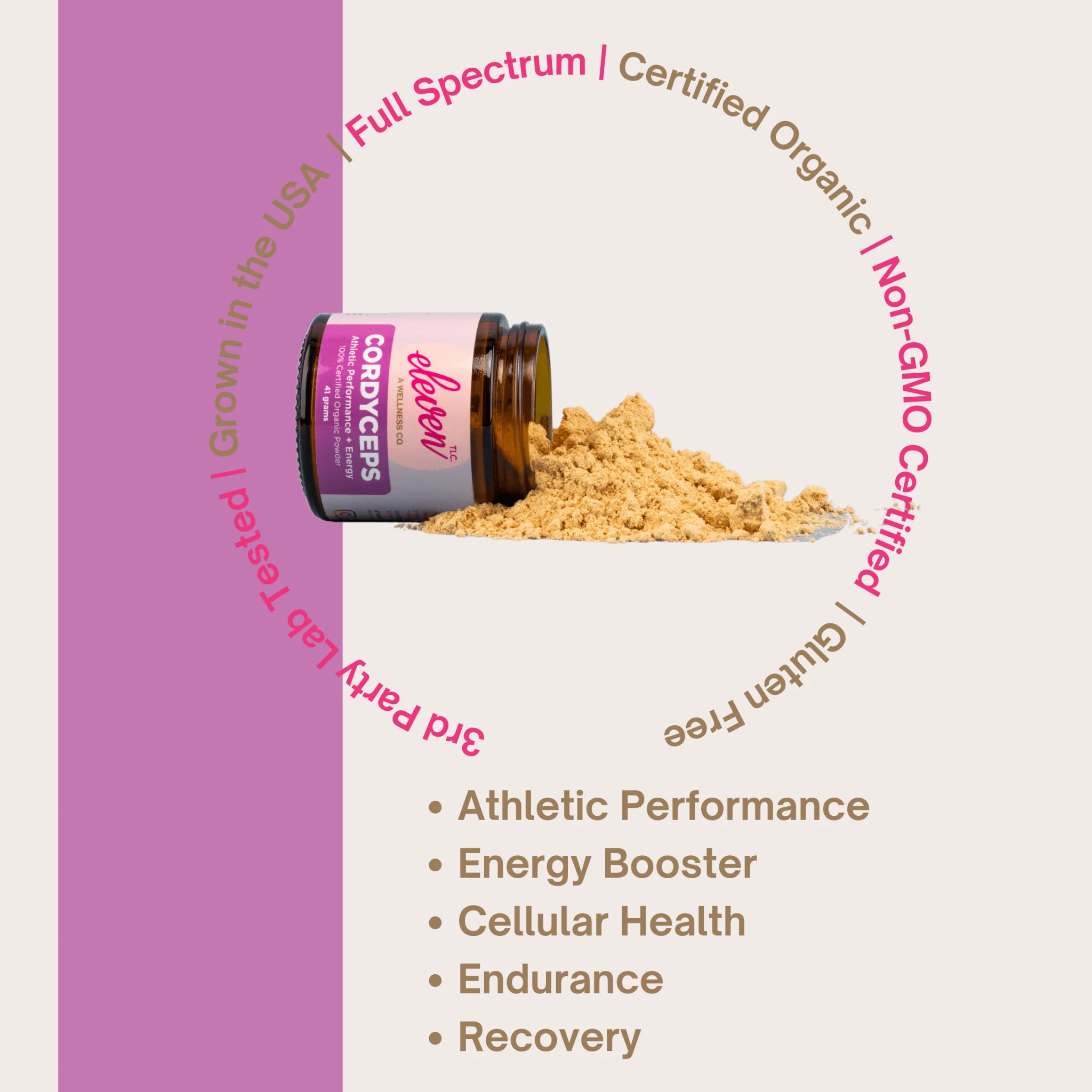 Organic Mushroom Powder Bundle | Chaga, Reishi, Cordyceps, & Lion's Mane Superfoods - Image 9