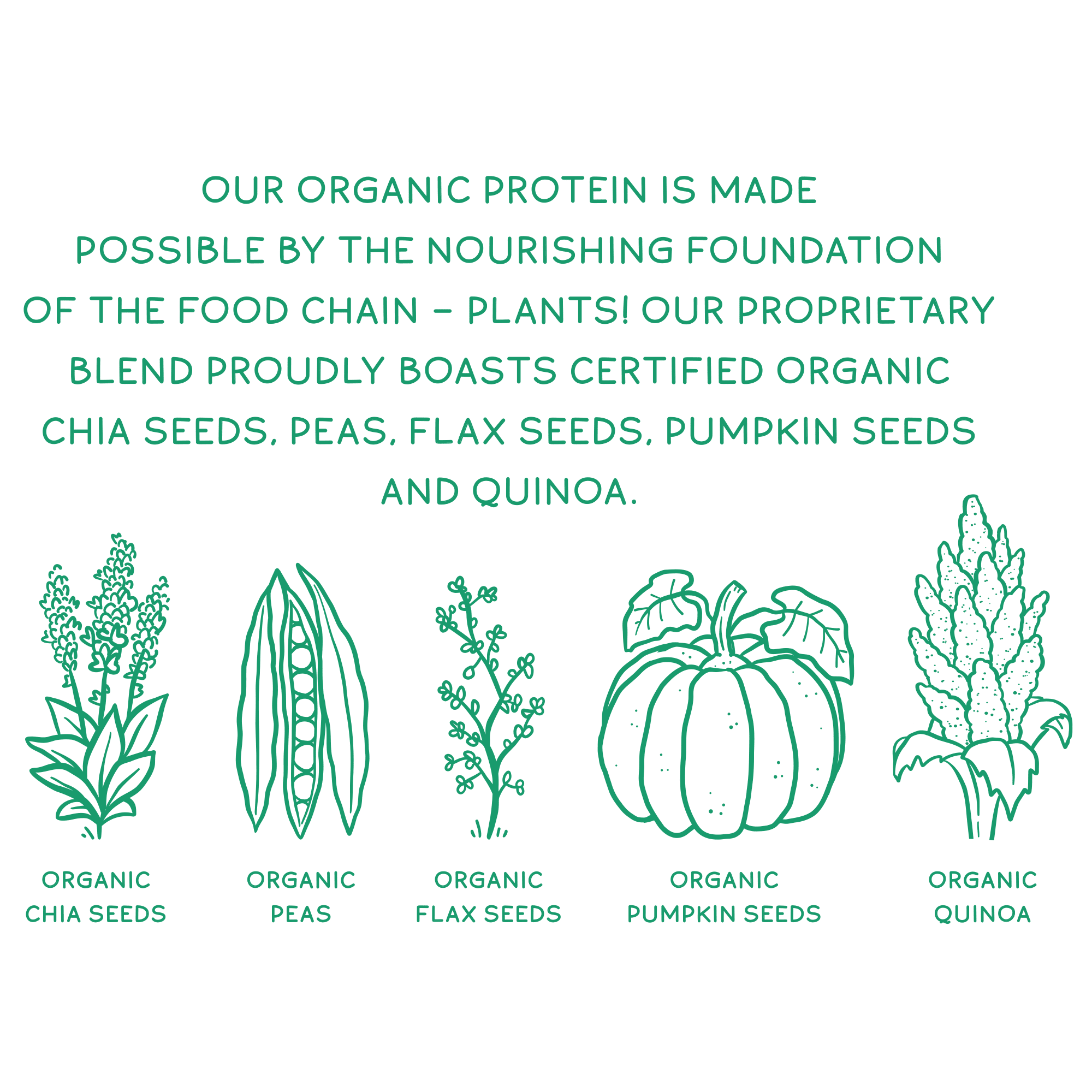 Organic Plant Protein, Unflavored & Unsweetened, 28 Servings - Image 9
