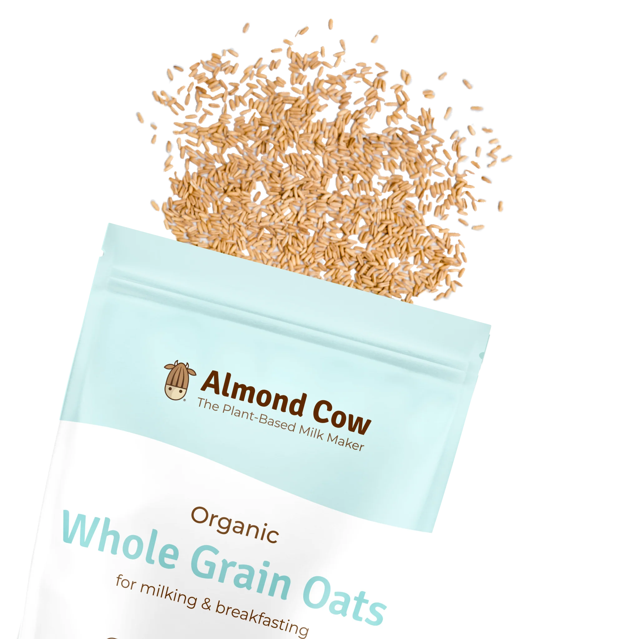 Organic Whole Grain Oats (3lbs) - Image 5