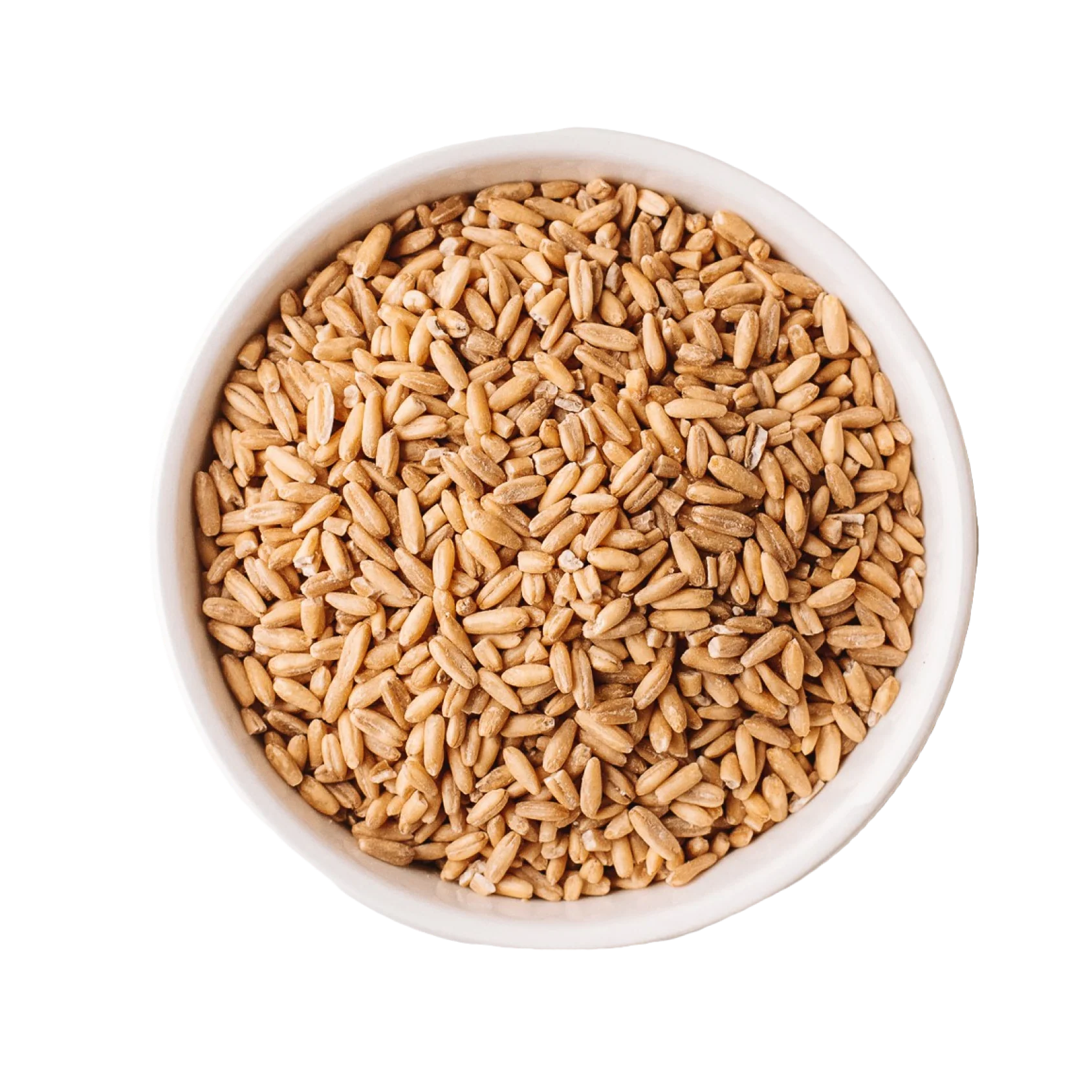 Organic Whole Grain Oats (3lbs) - Image 6