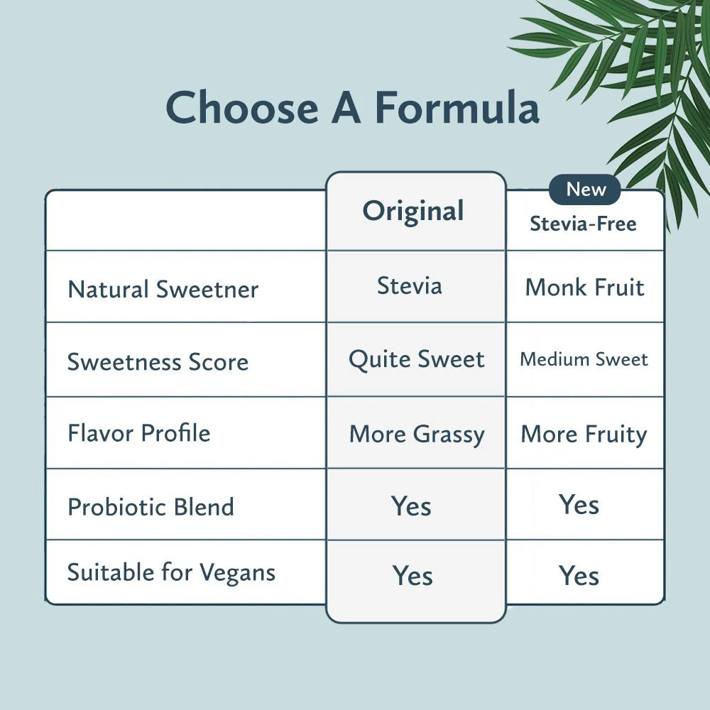 Plant-Powered Meal Shake - Image 4