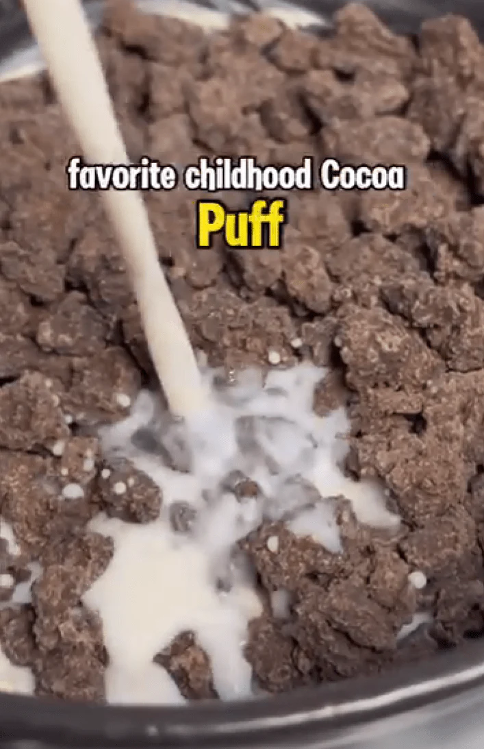 Pro-Bites - Chocolate - Image 2