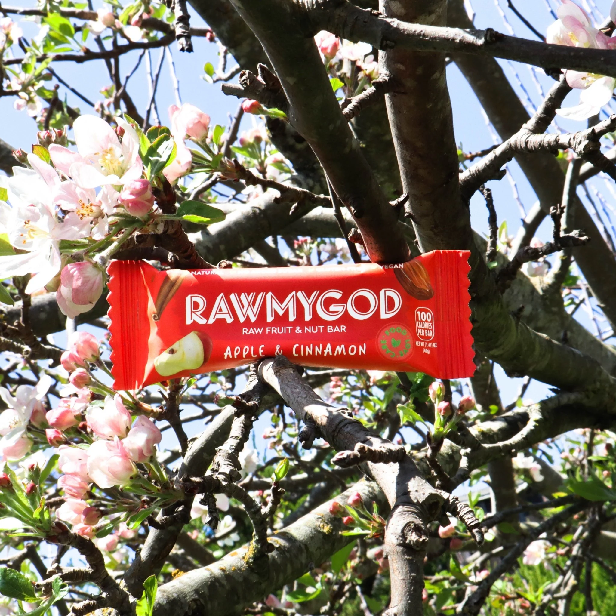 RAWMYGOD Apple & Cinnamon Fruit & Nut Bar, Box of 16 - Image 3