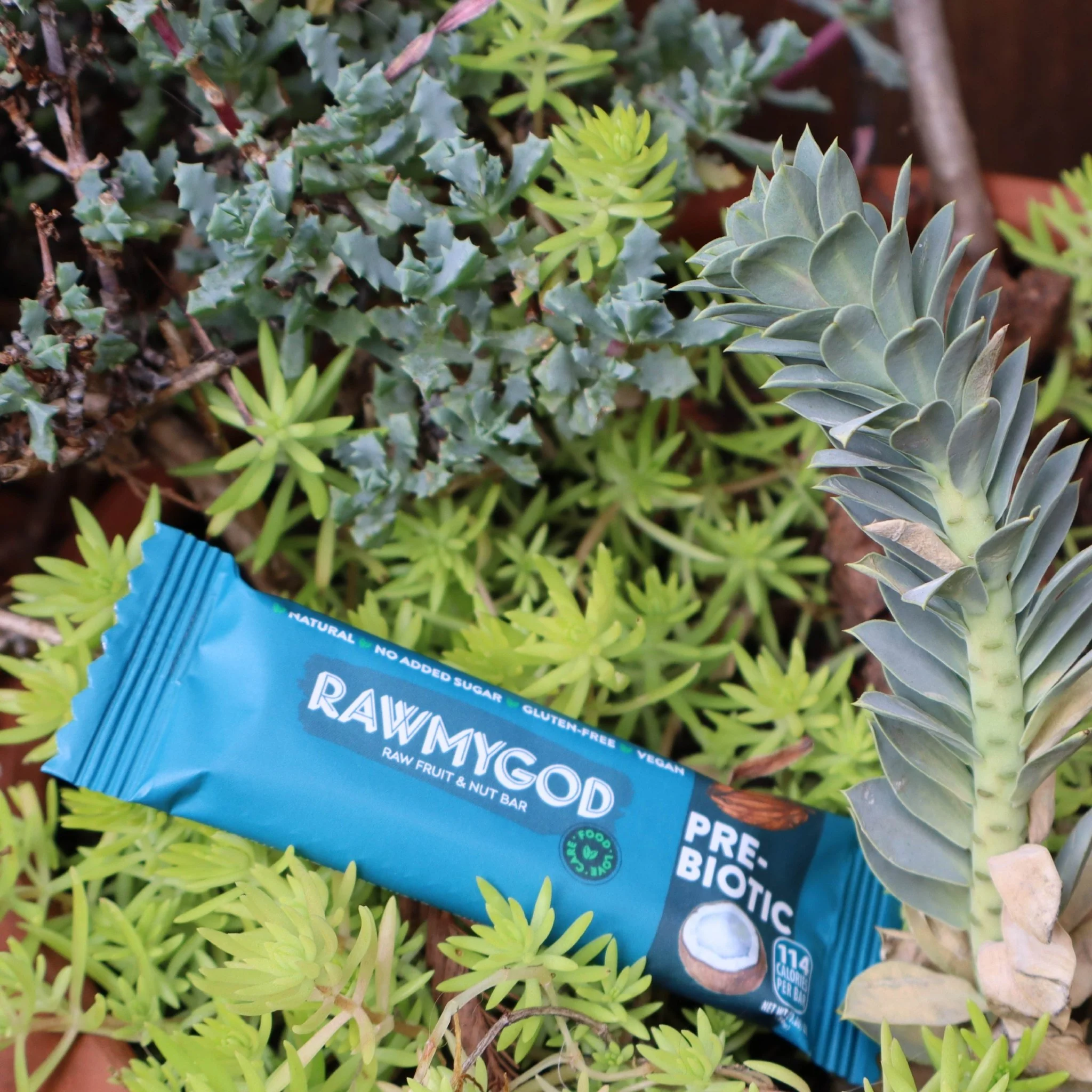 RAWMYGOD Prebiotic Raw Fruit & Nut Bar, Box of 20 - Image 3