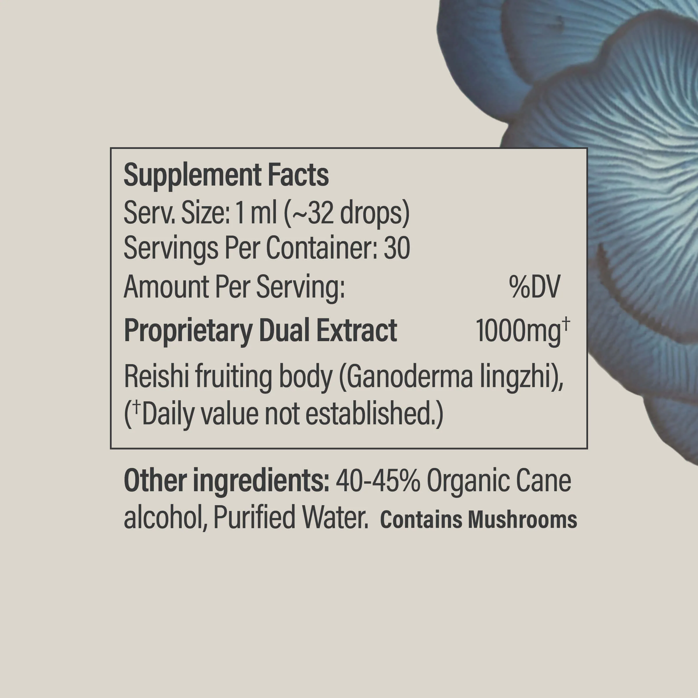 Reishi Tincture - Image 3